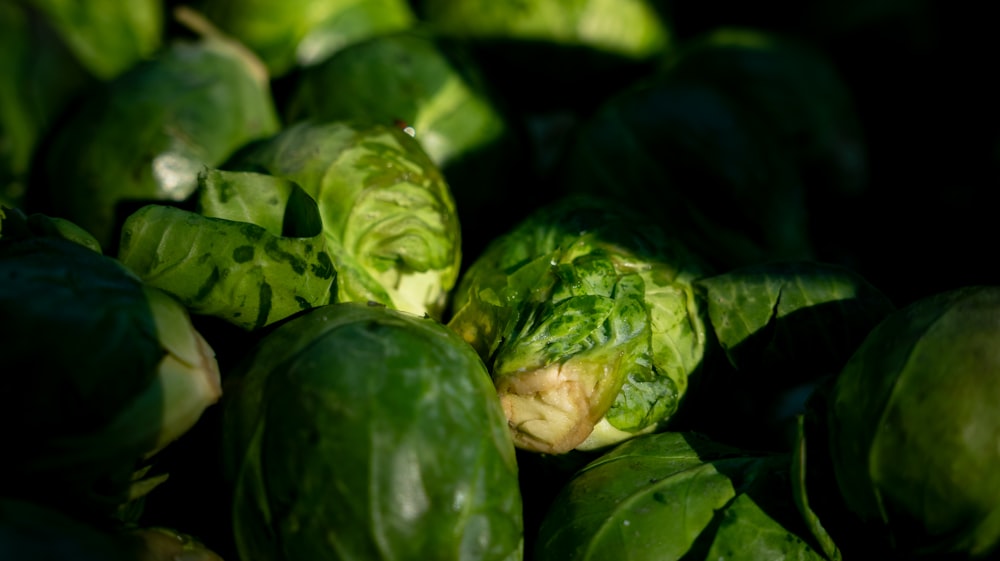 un montón de coles de Bruselas verdes sentadas una al lado de la otra