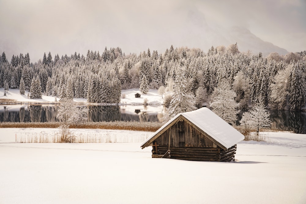 a cabin in the middle of a snowy field