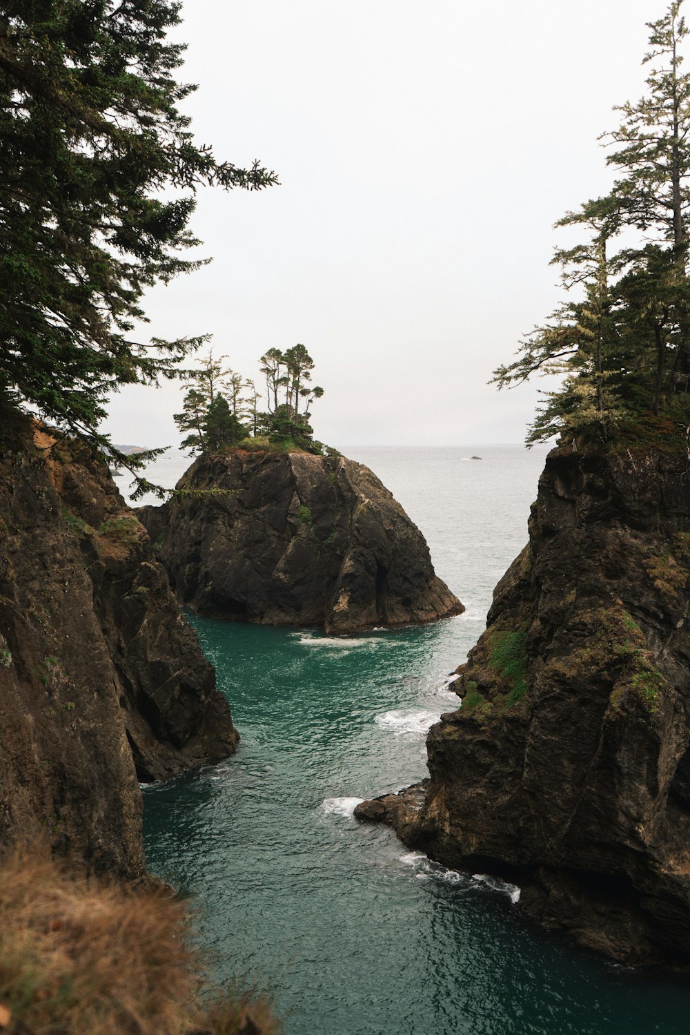 a body of water surrounded by trees and rocks