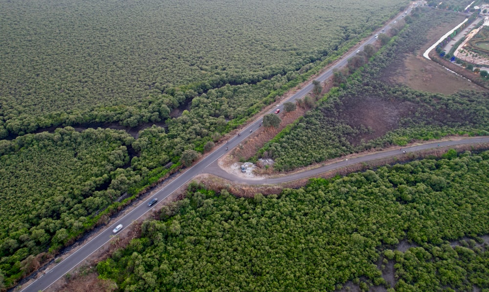 Una vista aérea de una carretera rodeada de árboles