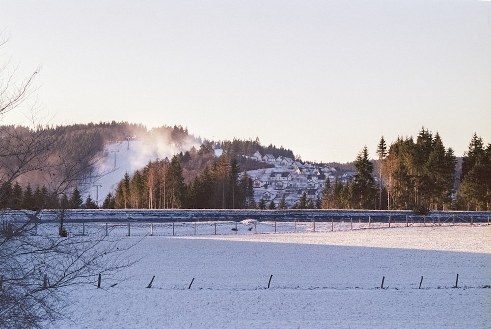 a snow covered field with a mountain in the background