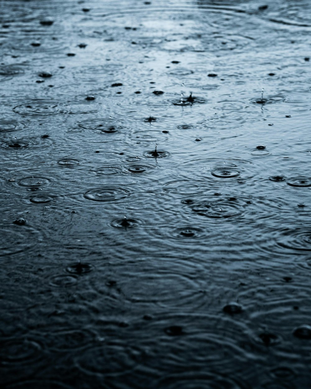 Las gotas de lluvia caen sobre una superficie mojada
