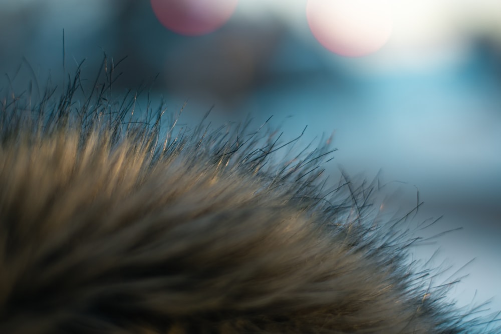 a close up of a person's hair with blurry lights in the background