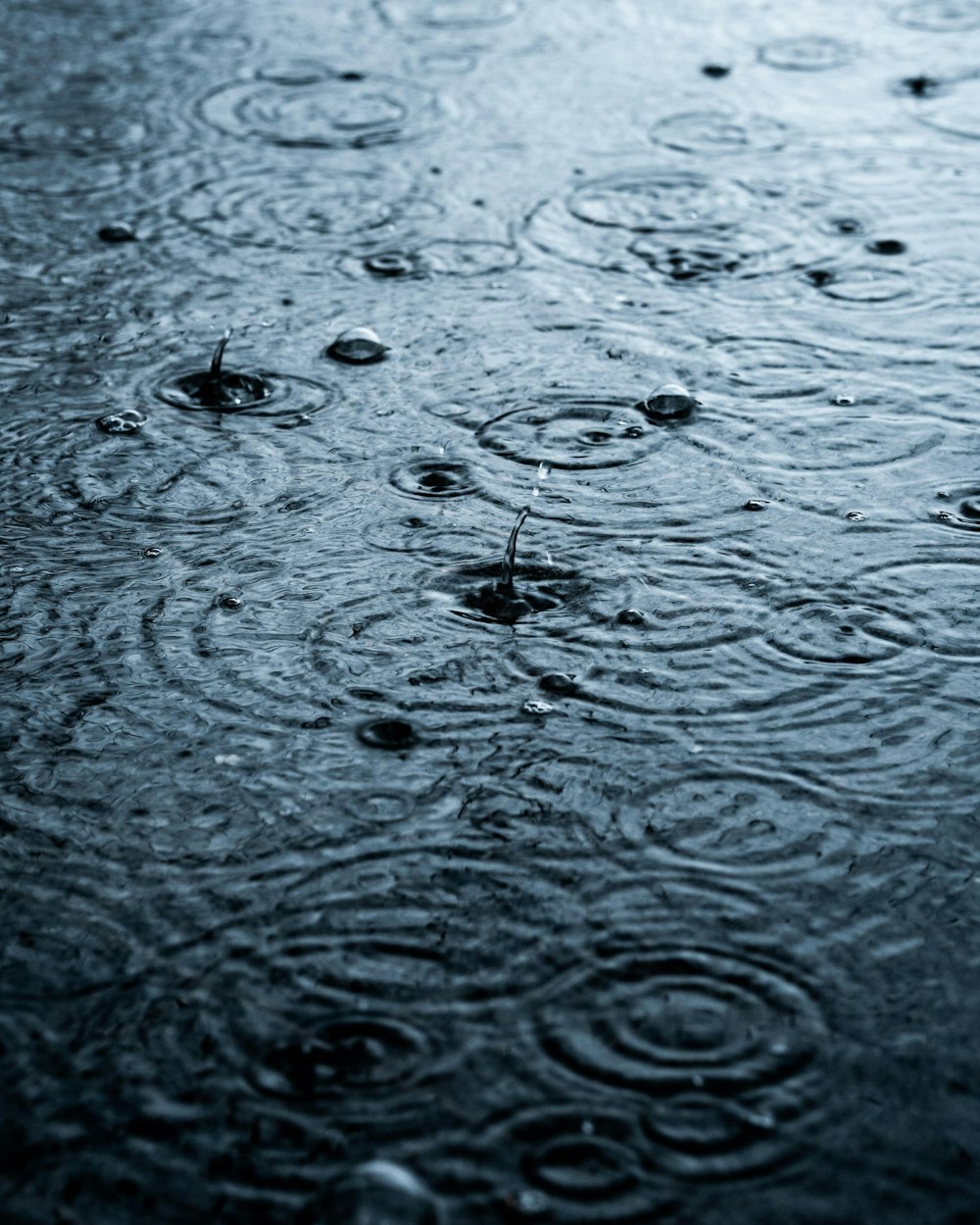 un grupo de gotas de lluvia sobre una superficie mojada