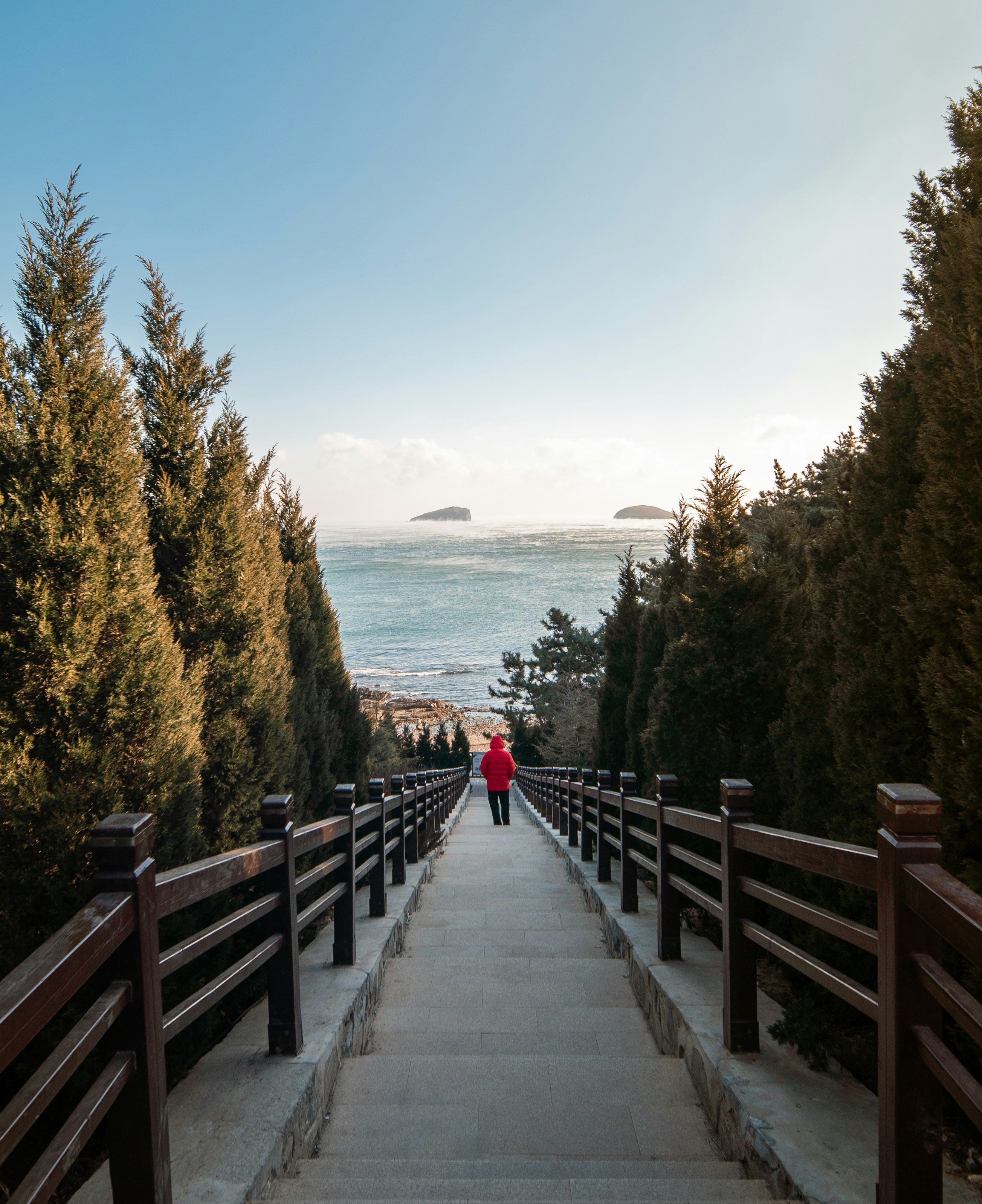a person walking up a set of stairs towards the ocean