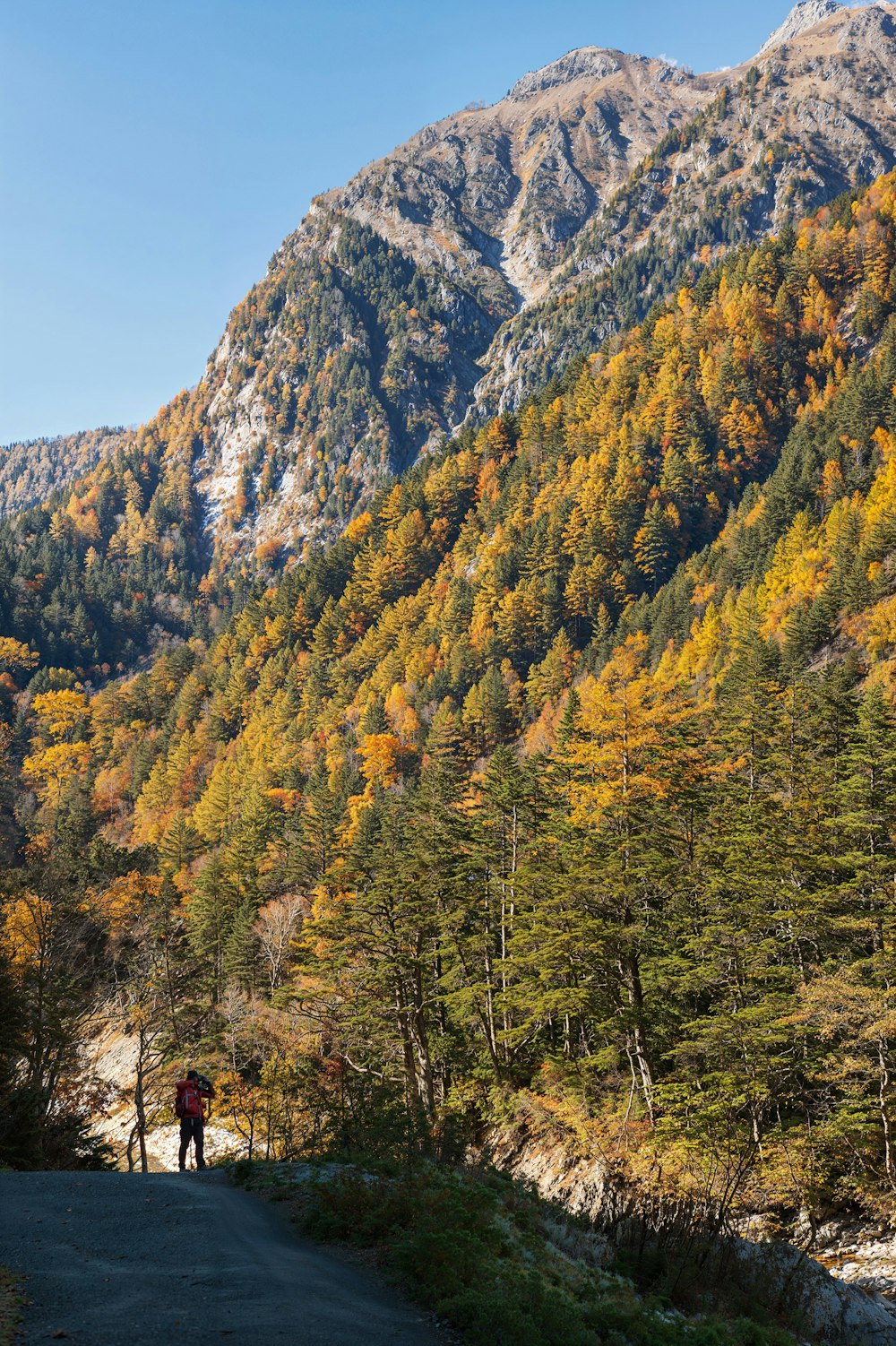 une personne marchant sur une route dans les montagnes