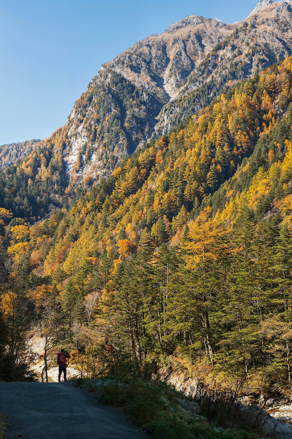 a person walking down a road in the mountains