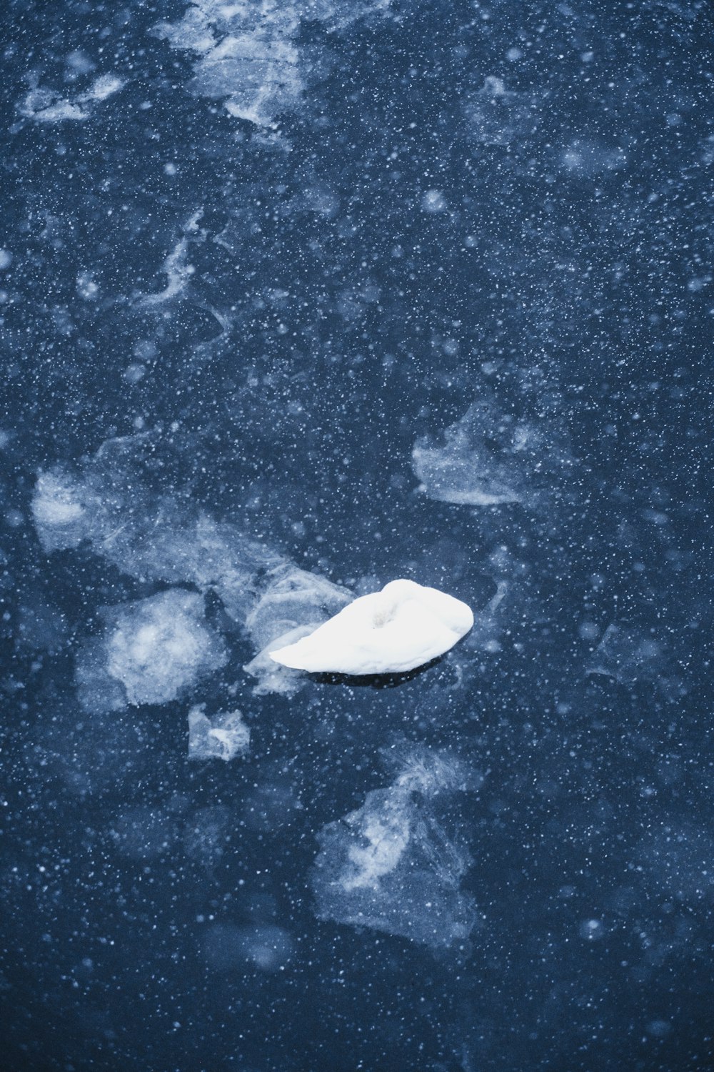 a white object floating on top of a body of water