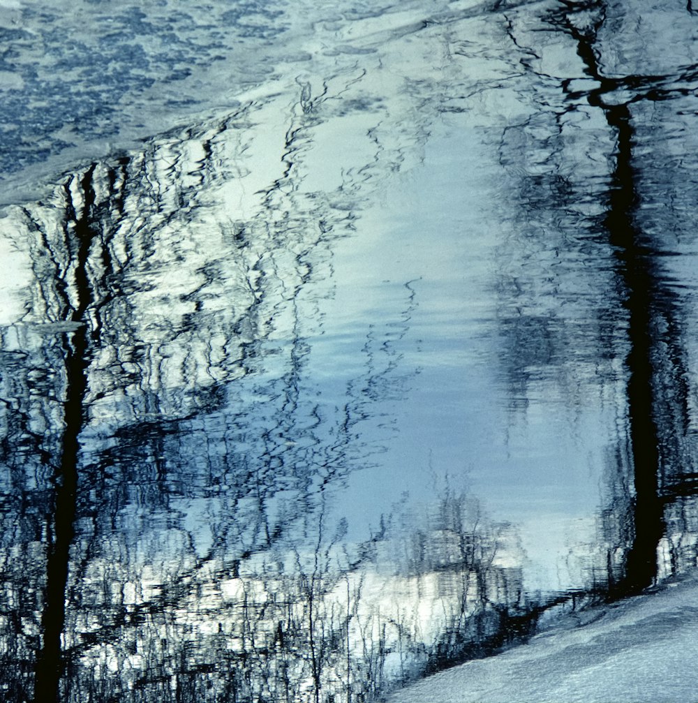 a reflection of trees in a body of water