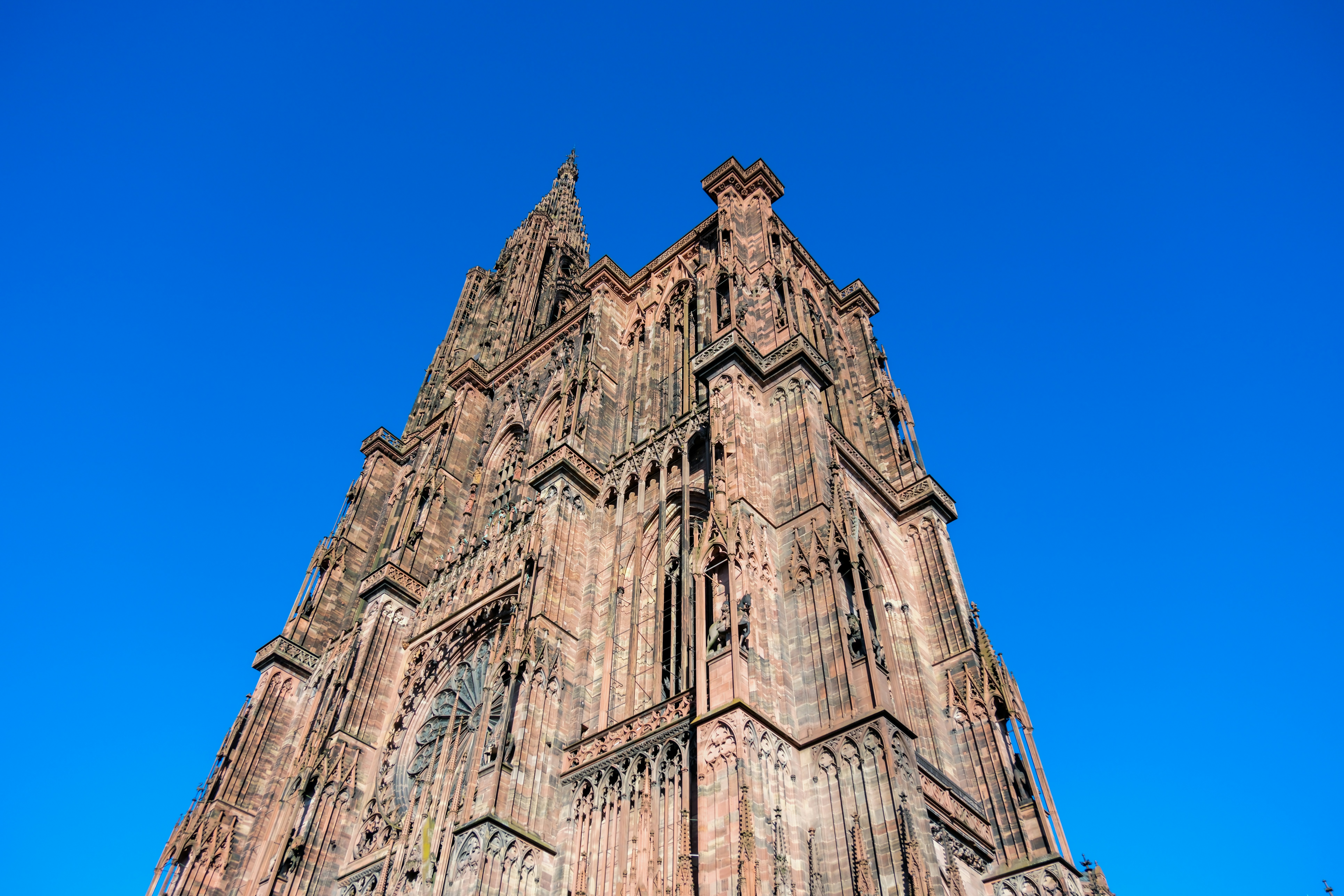 Photo by cestmoisheedy