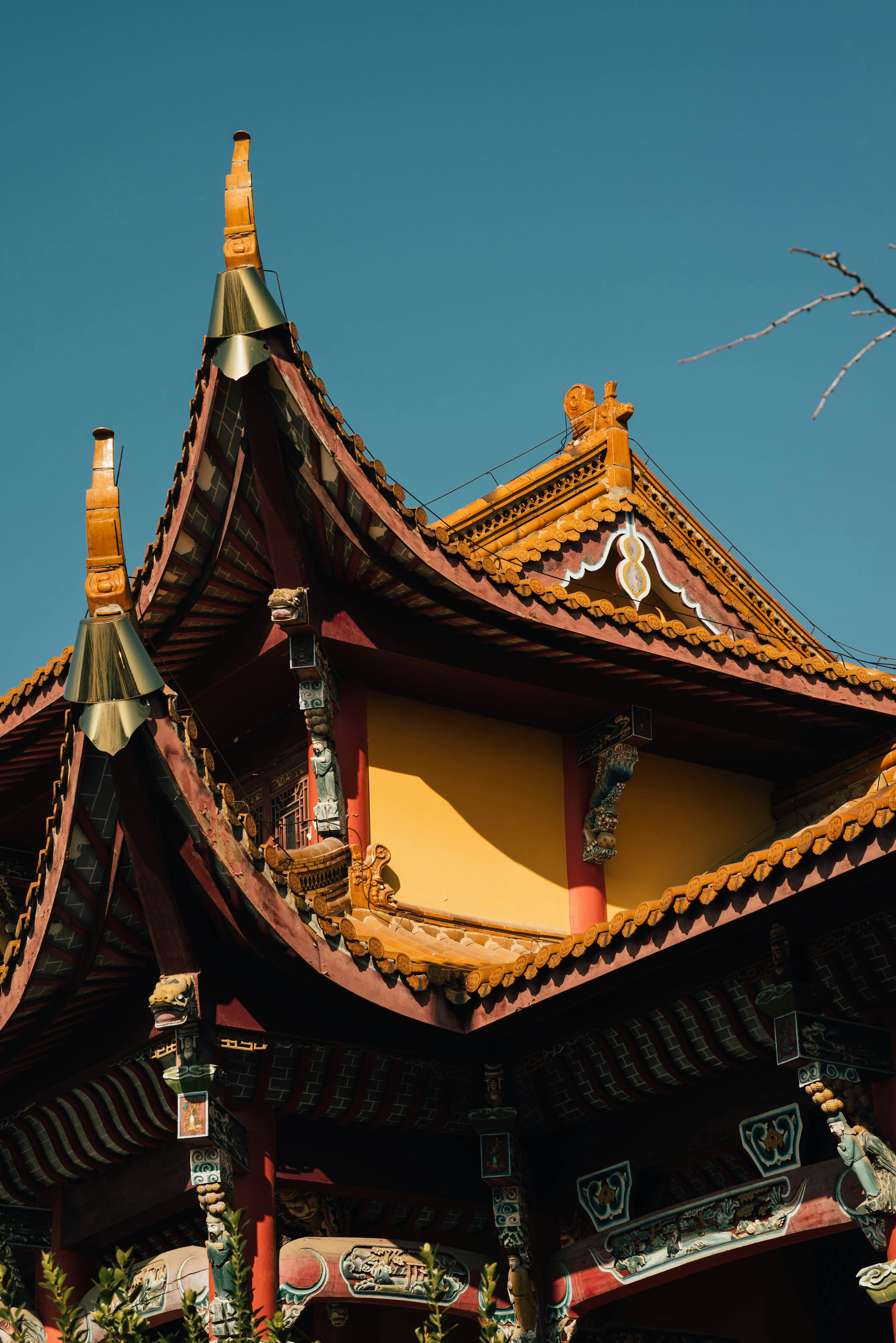 Photo by sakurajimamai12138