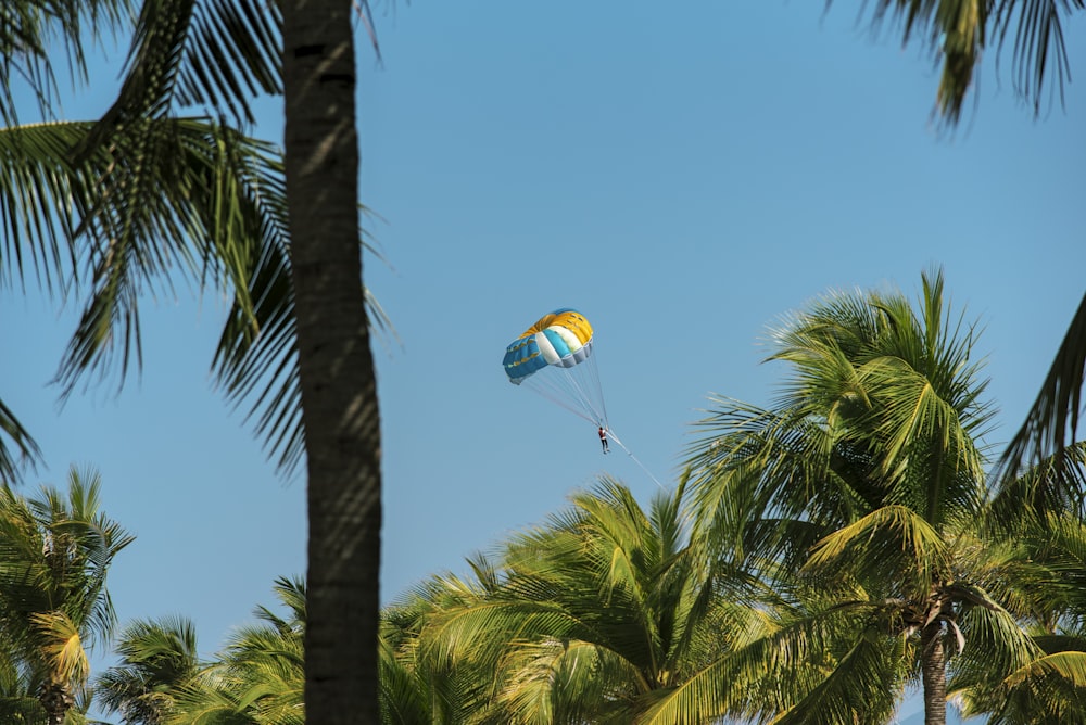 a parasailer is flying through the palm trees