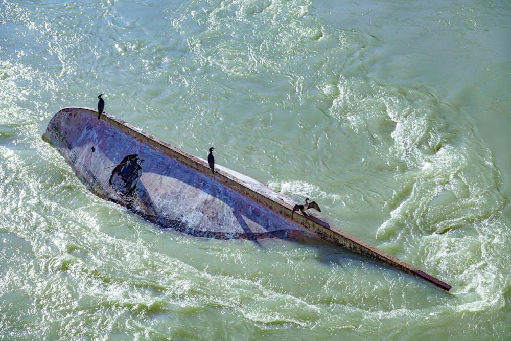 a boat in the water with birds perched on it