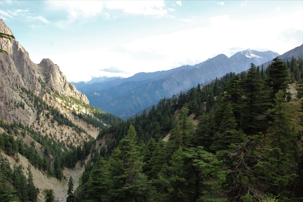 Una vista de una cadena montañosa con árboles y montañas al fondo