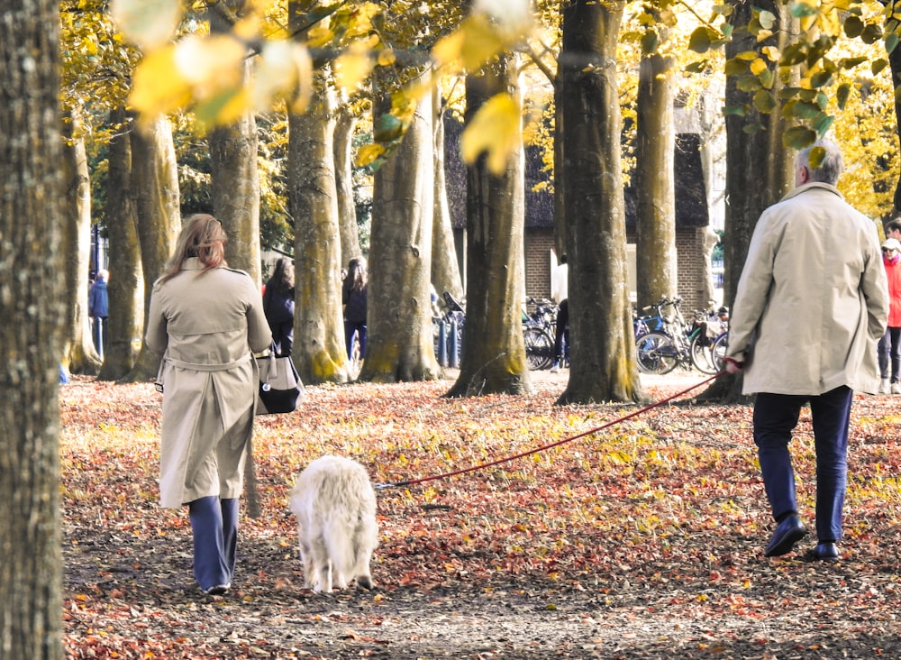 a man and a woman walking a dog in a park