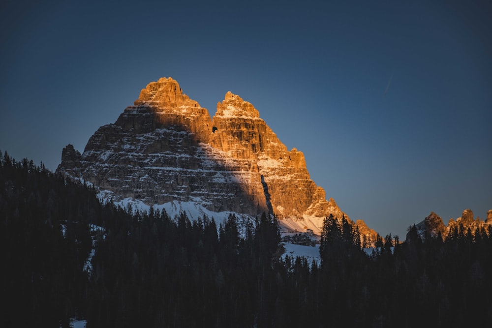 a snow covered mountain with trees in the foreground