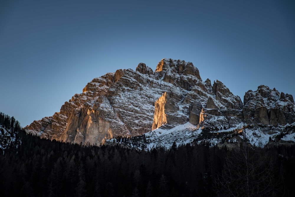 a snow covered mountain with trees in the foreground