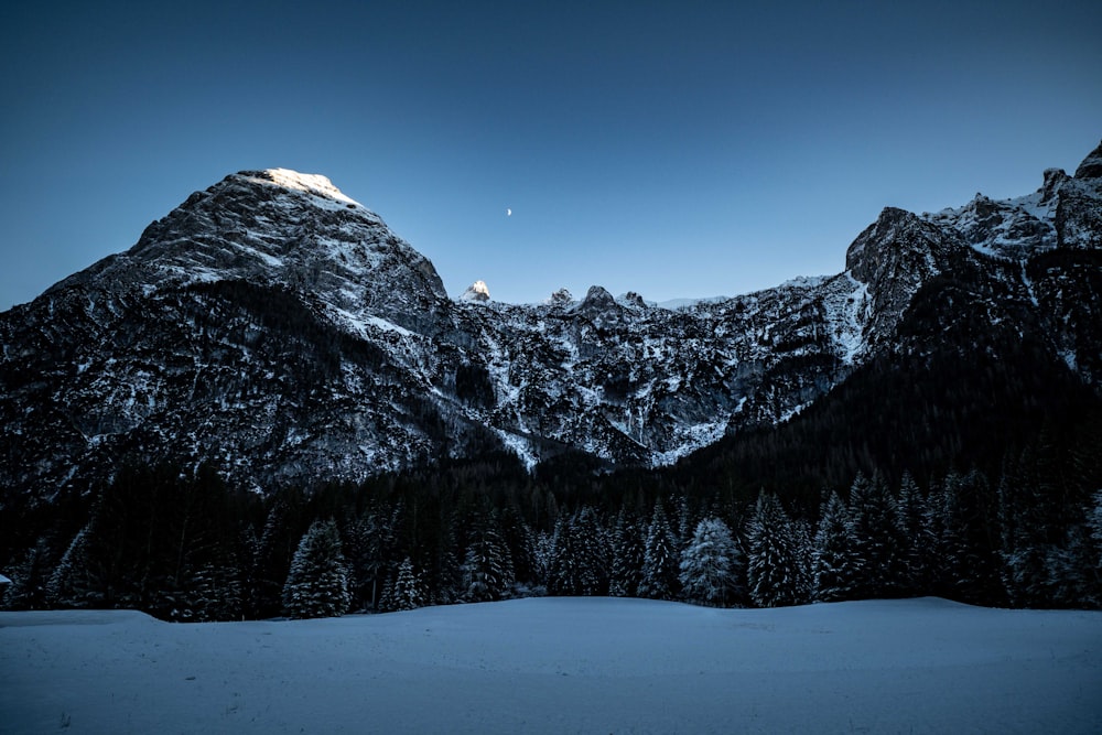 a snow covered mountain range with trees in the foreground