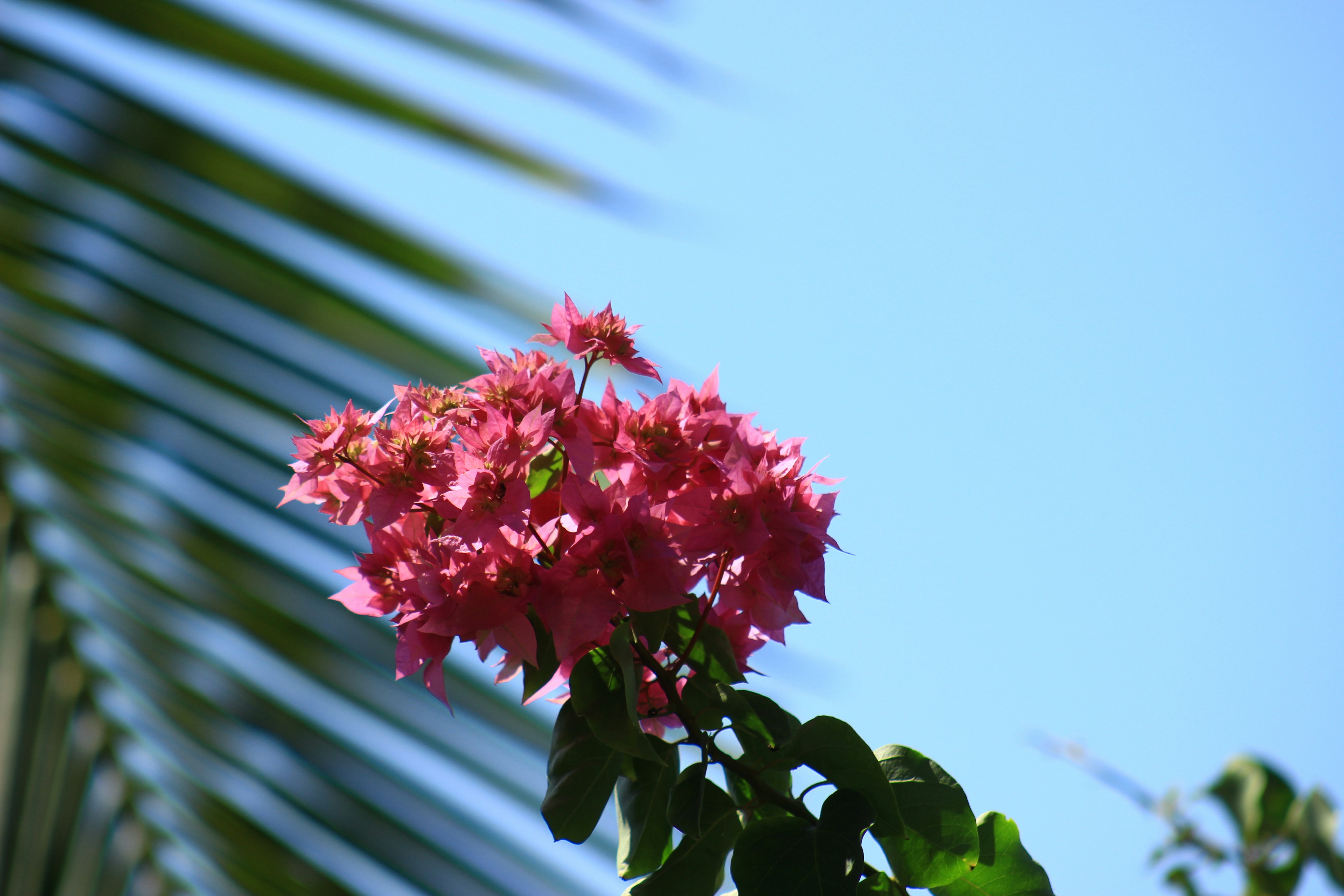 Photo by flor_estrada