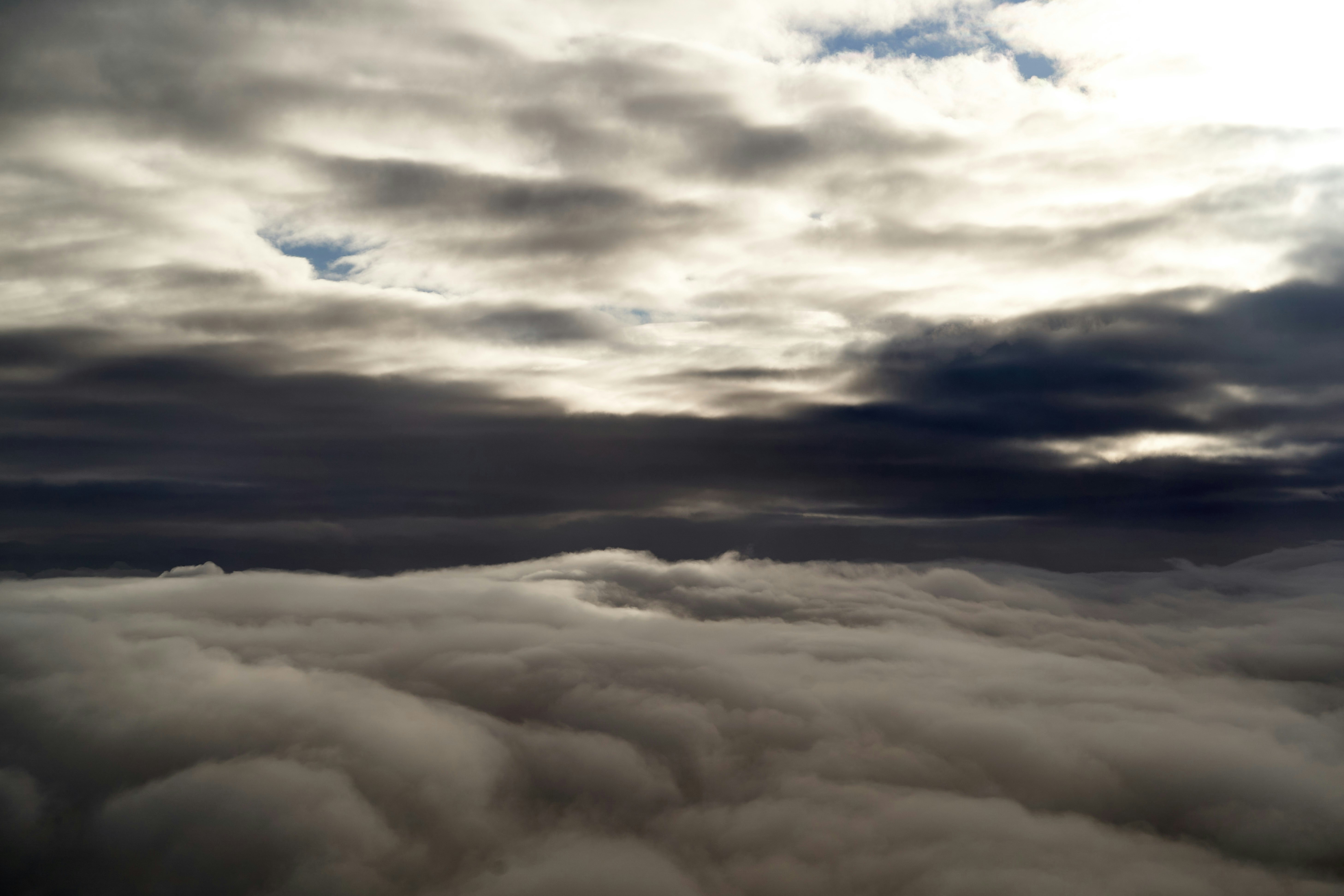 Photo by wolfgang_hasselmann