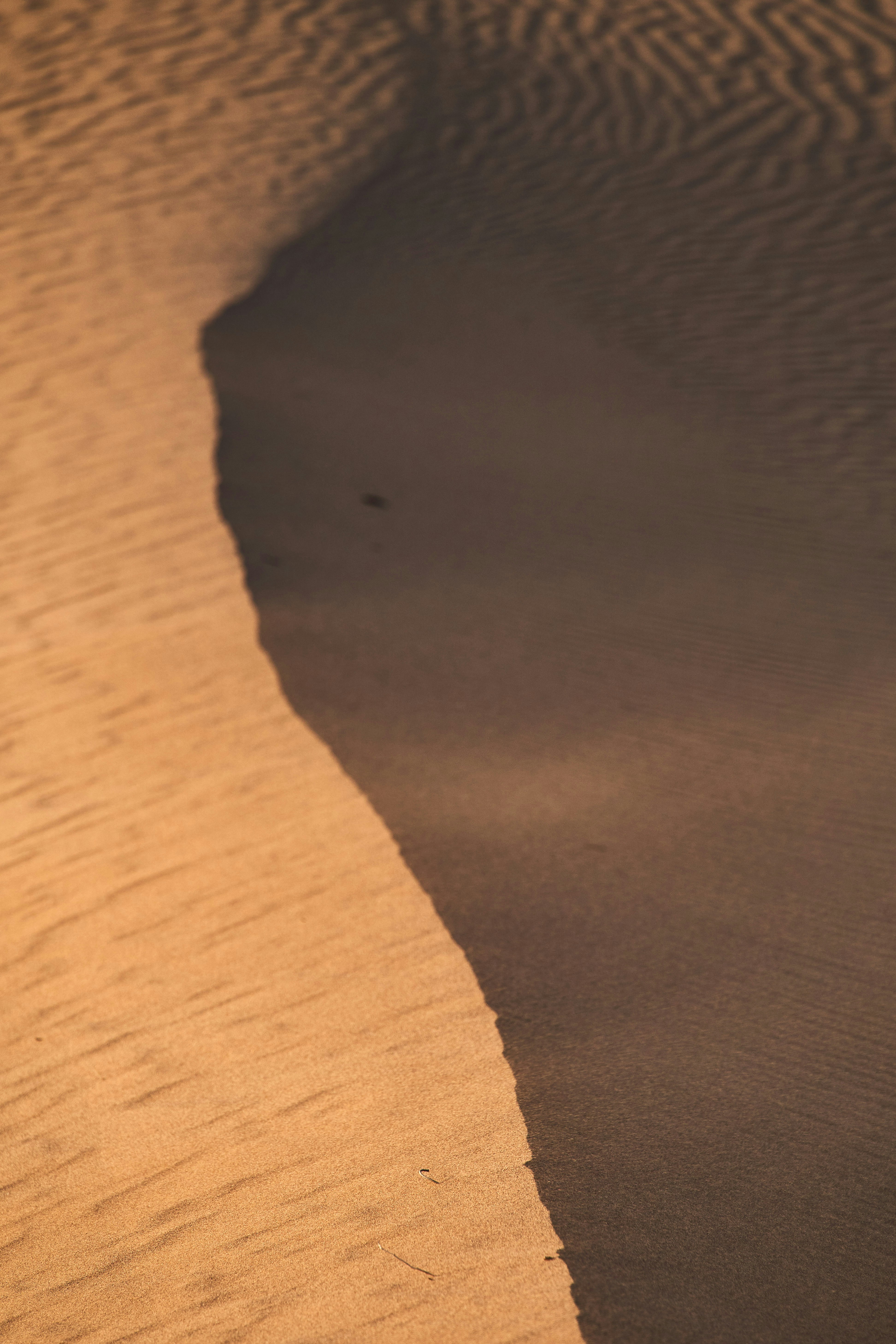 Photo by wolfgang_hasselmann