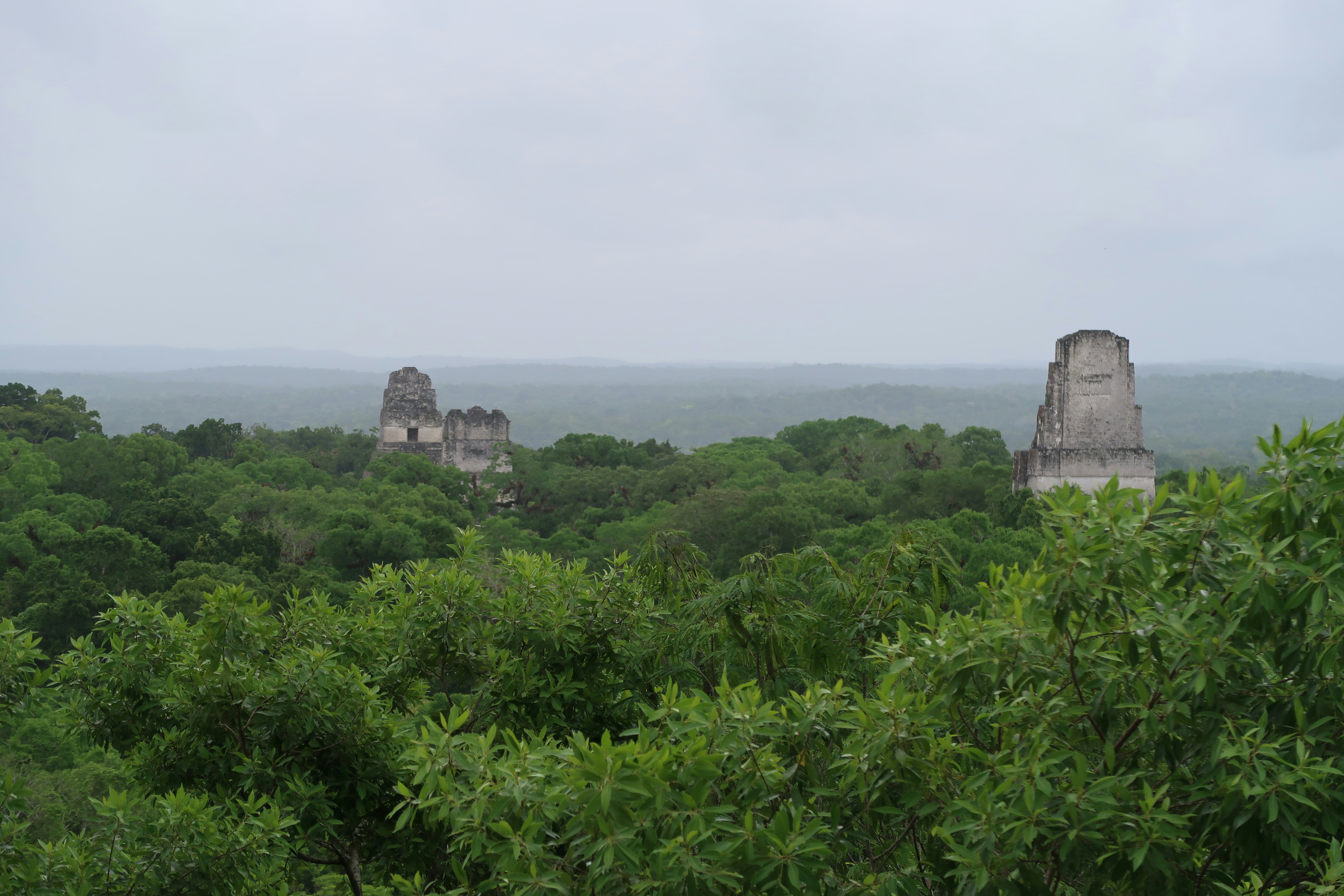 View from the Tikal ruins