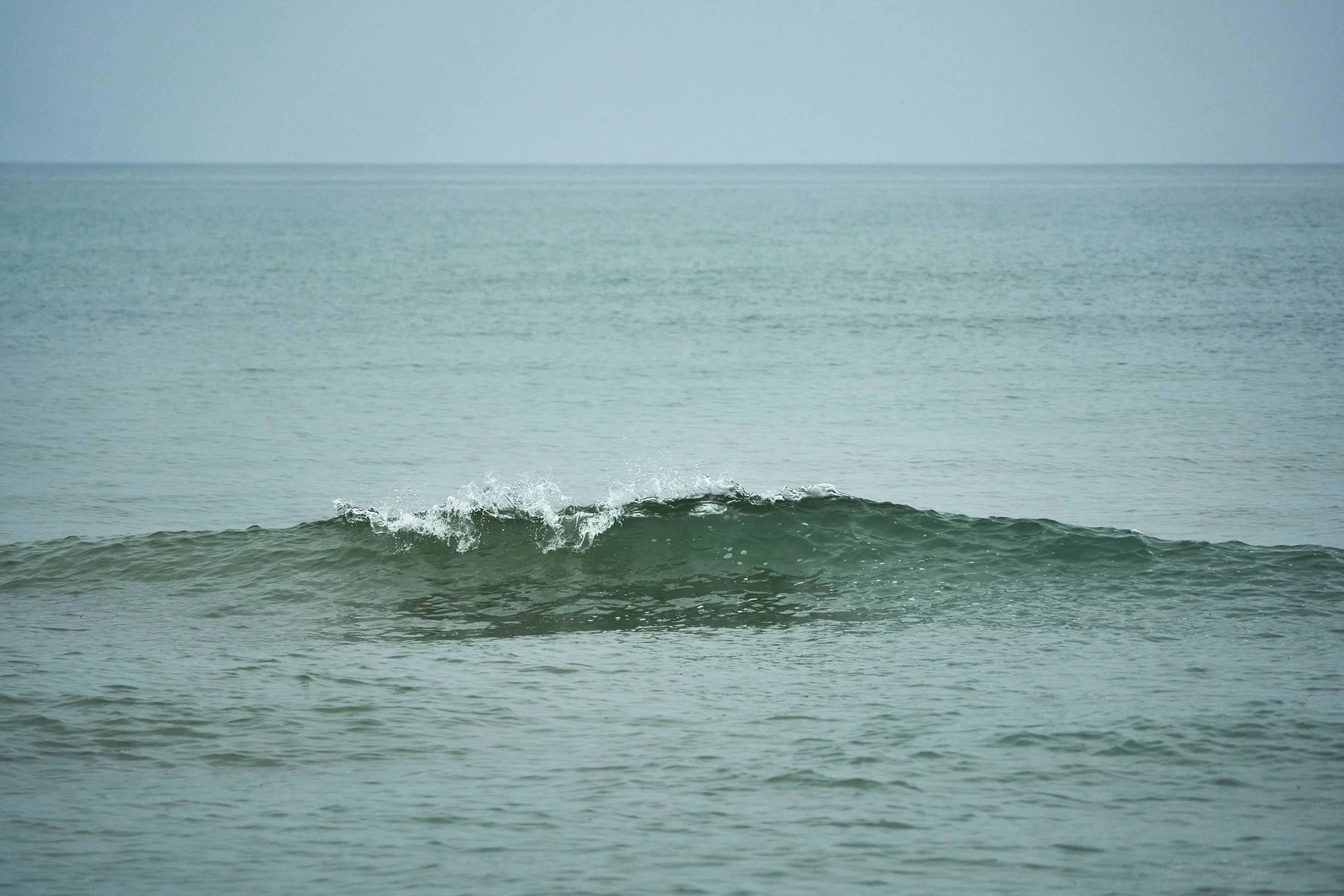 Photo by wolfgang_hasselmann