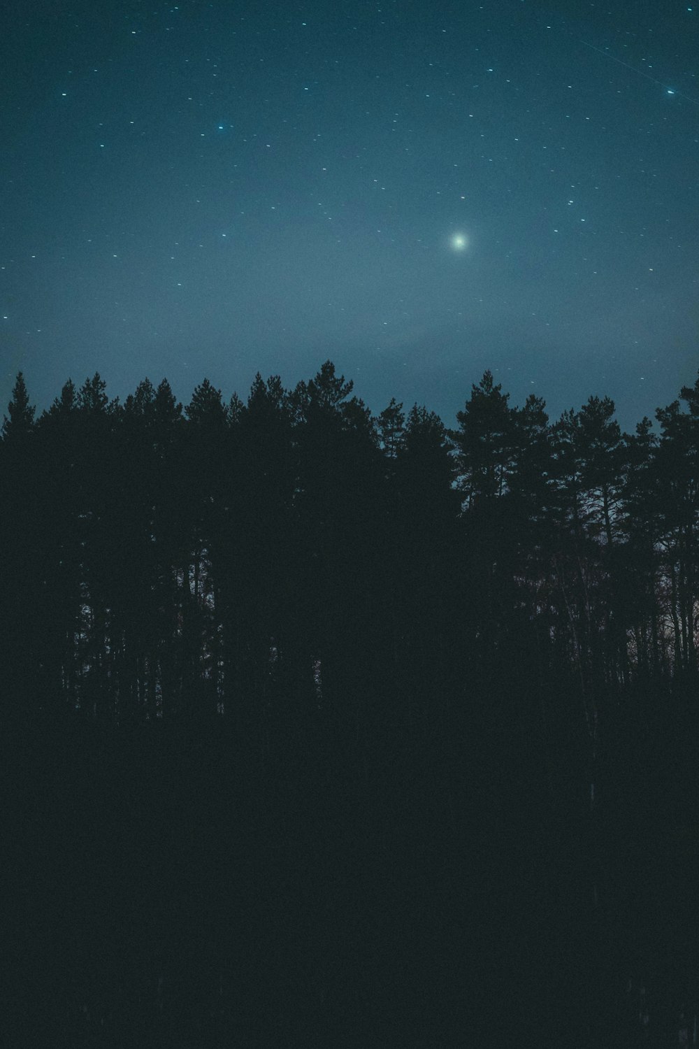 the night sky with stars and trees in the foreground