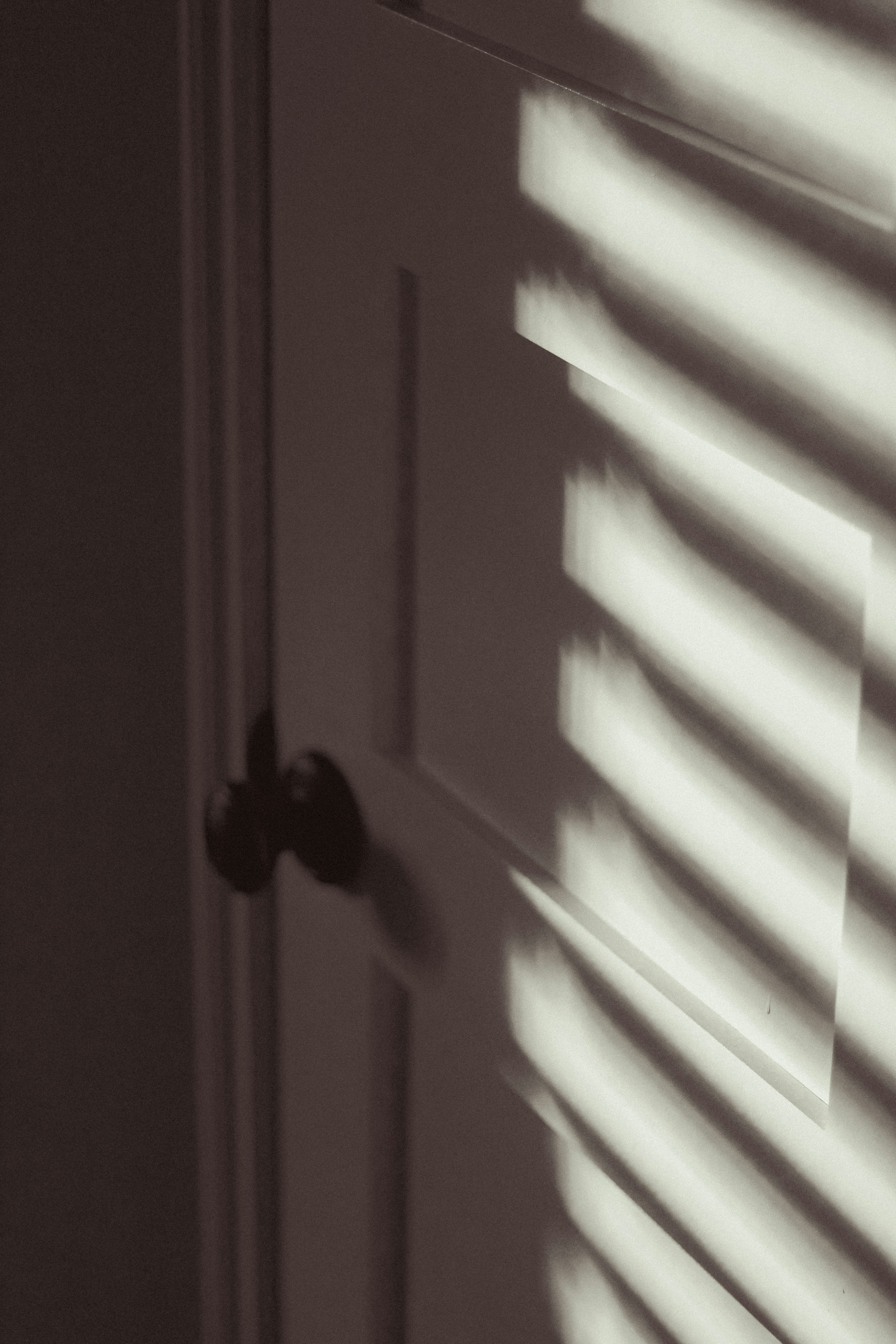 Photo by linusbelanger