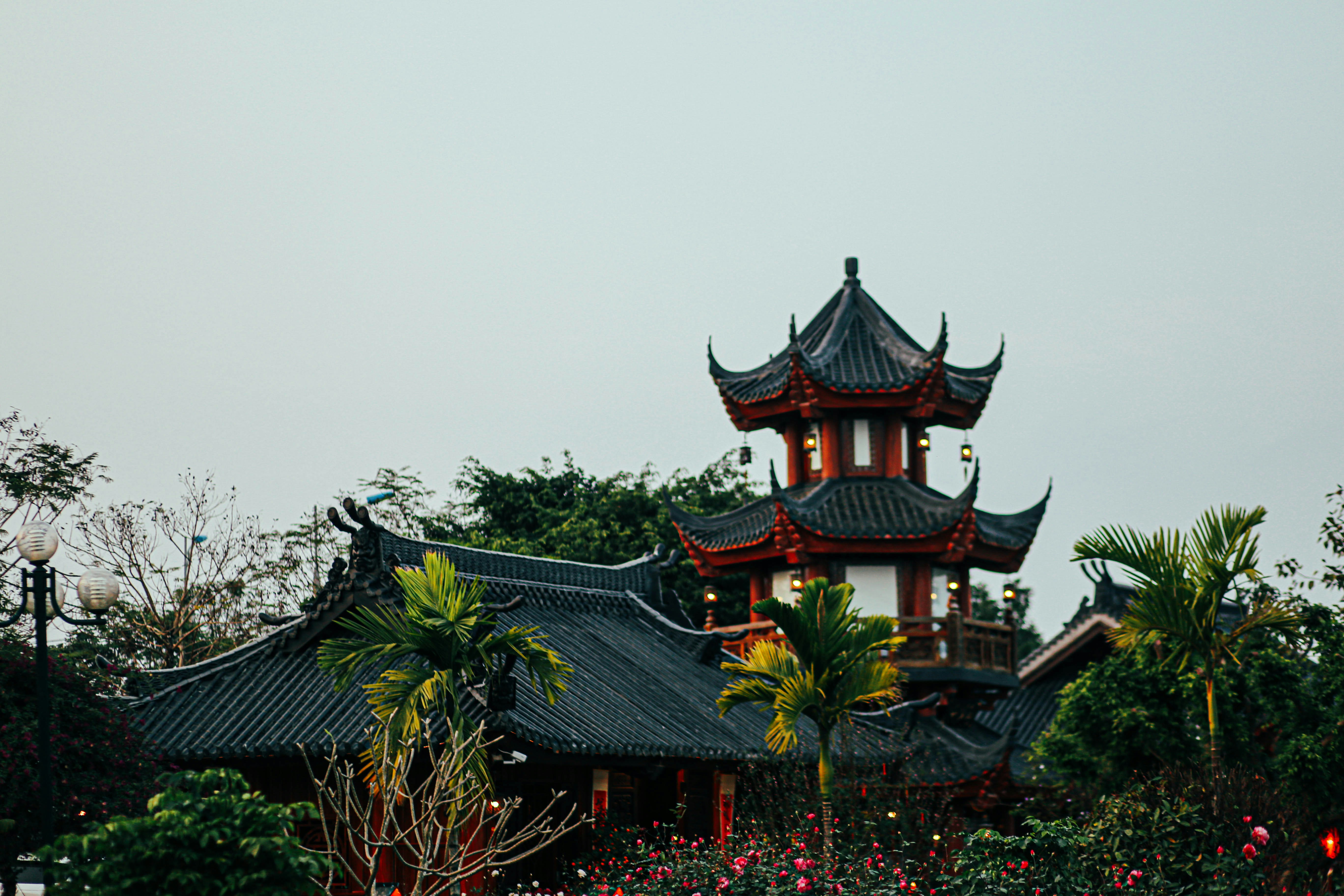 Photo by nghieutrym191