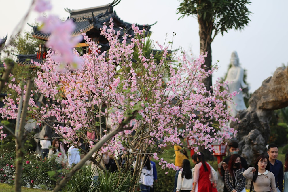 a group of people standing around a tree with pink flowers