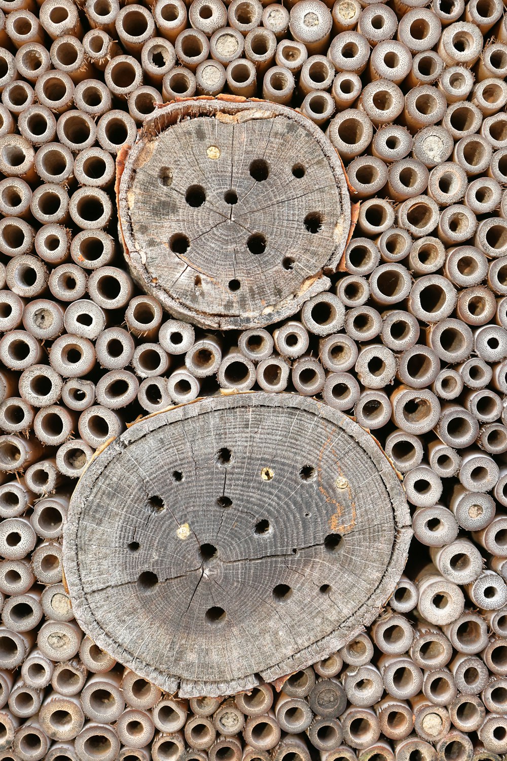 a close up of two circles on a piece of wood