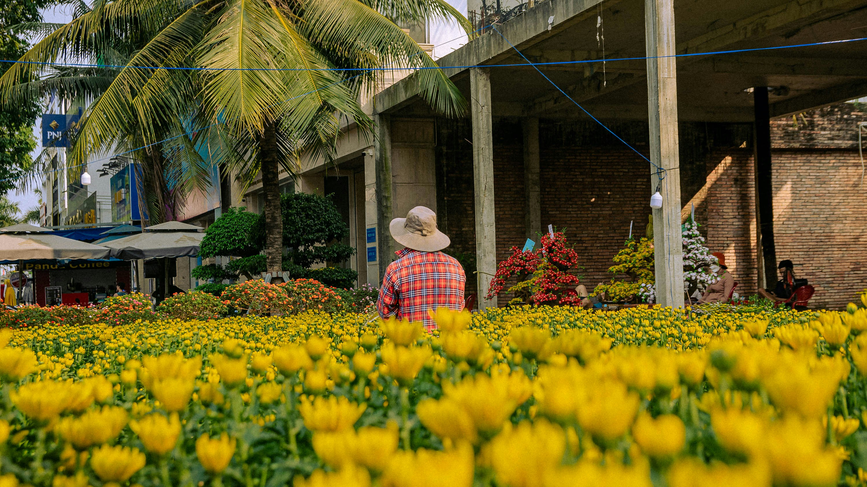a man standing in a field of yellow flowers