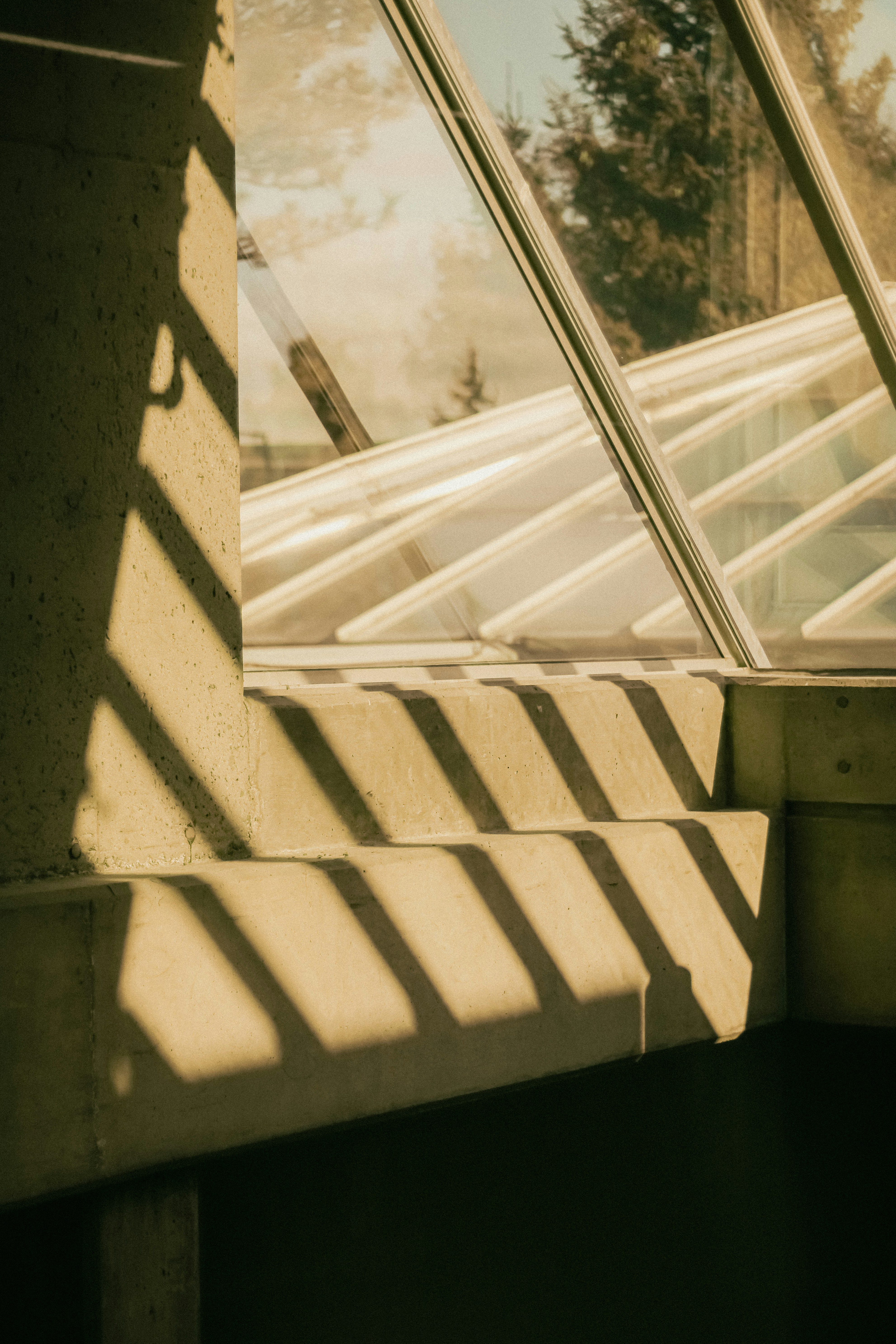 Photo by linusbelanger