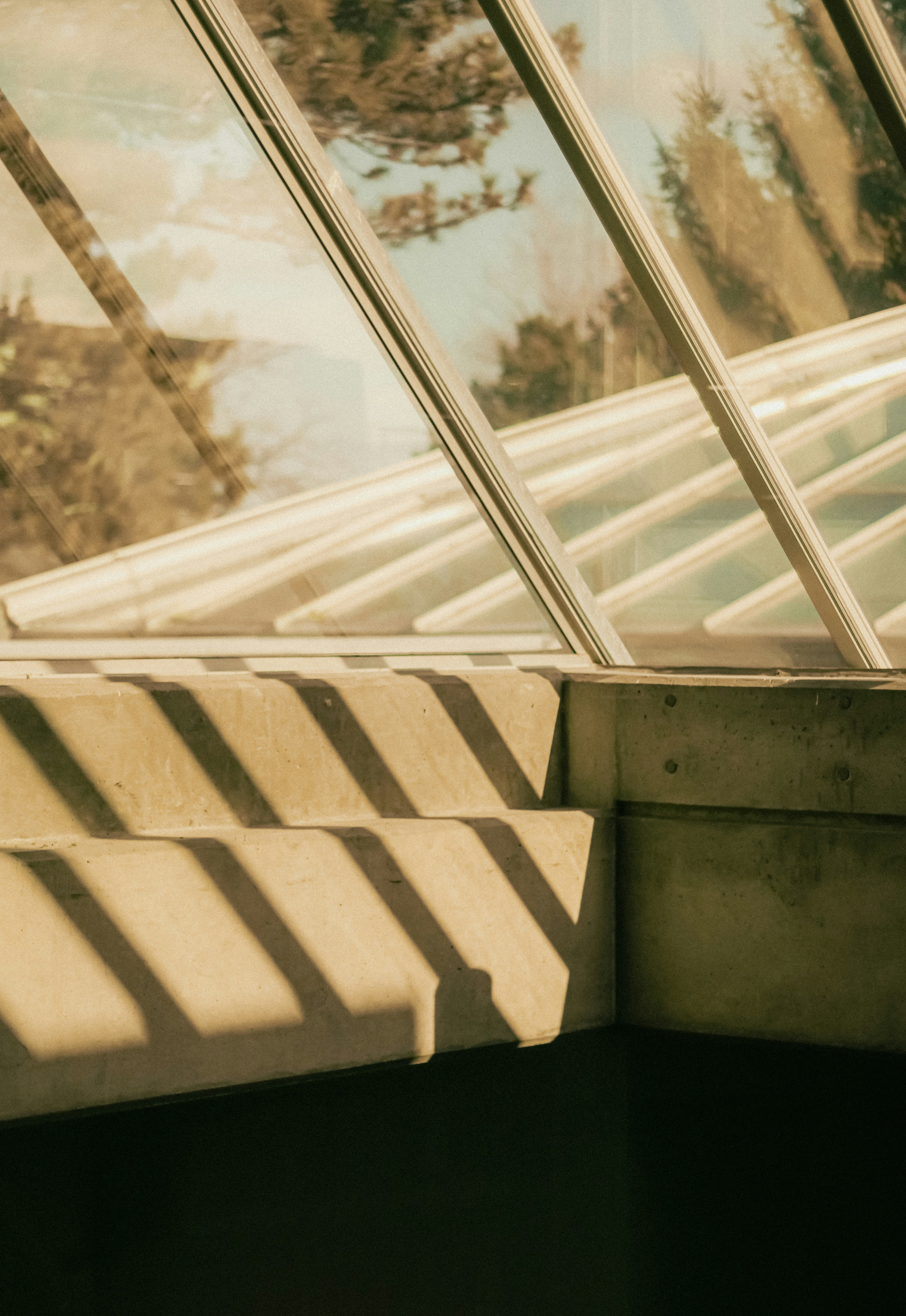 Photo by linusbelanger