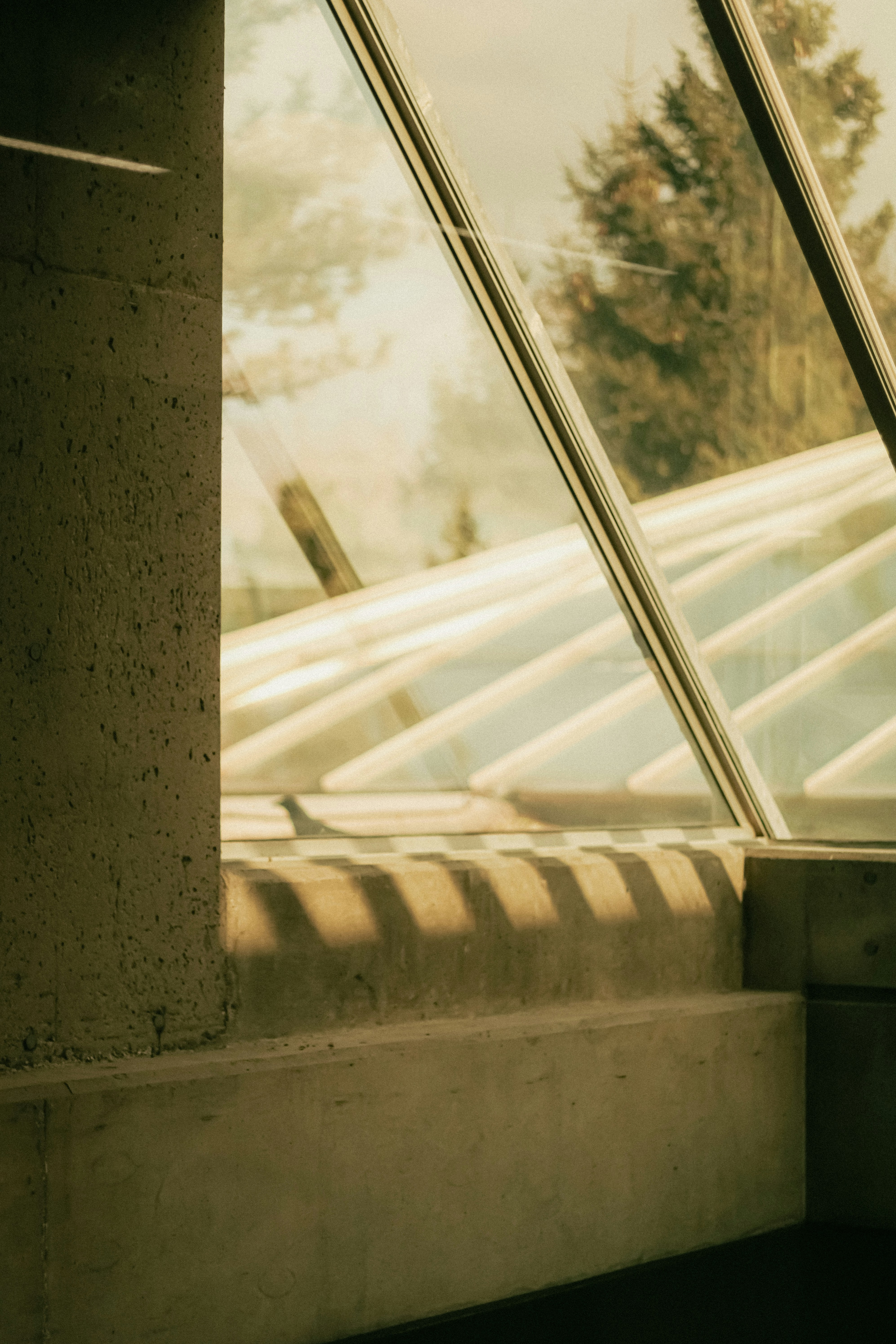 Photo by linusbelanger