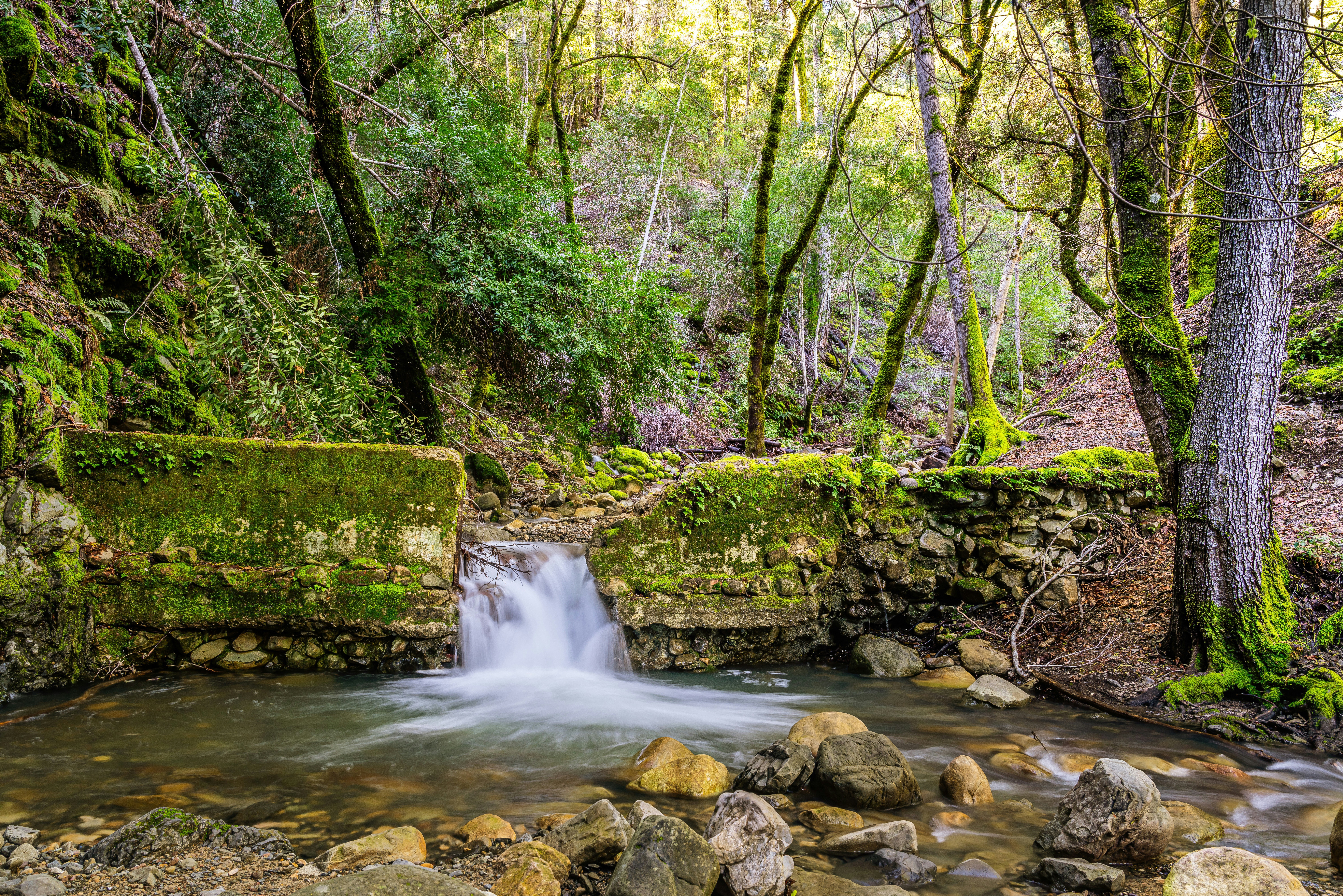 Photo by happy_pixel