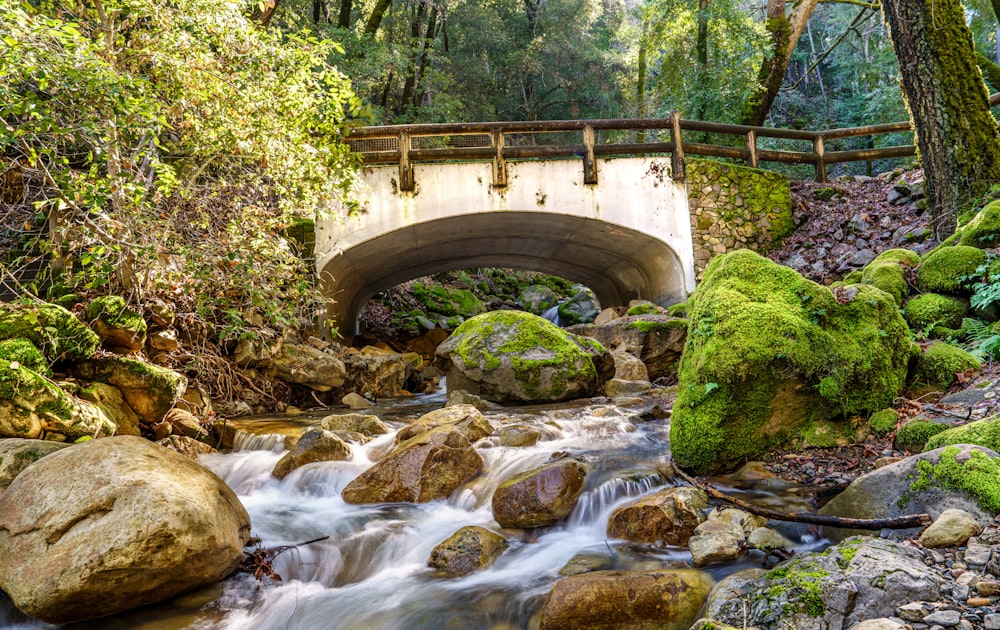 un petit pont au-dessus d’un ruisseau dans une forêt