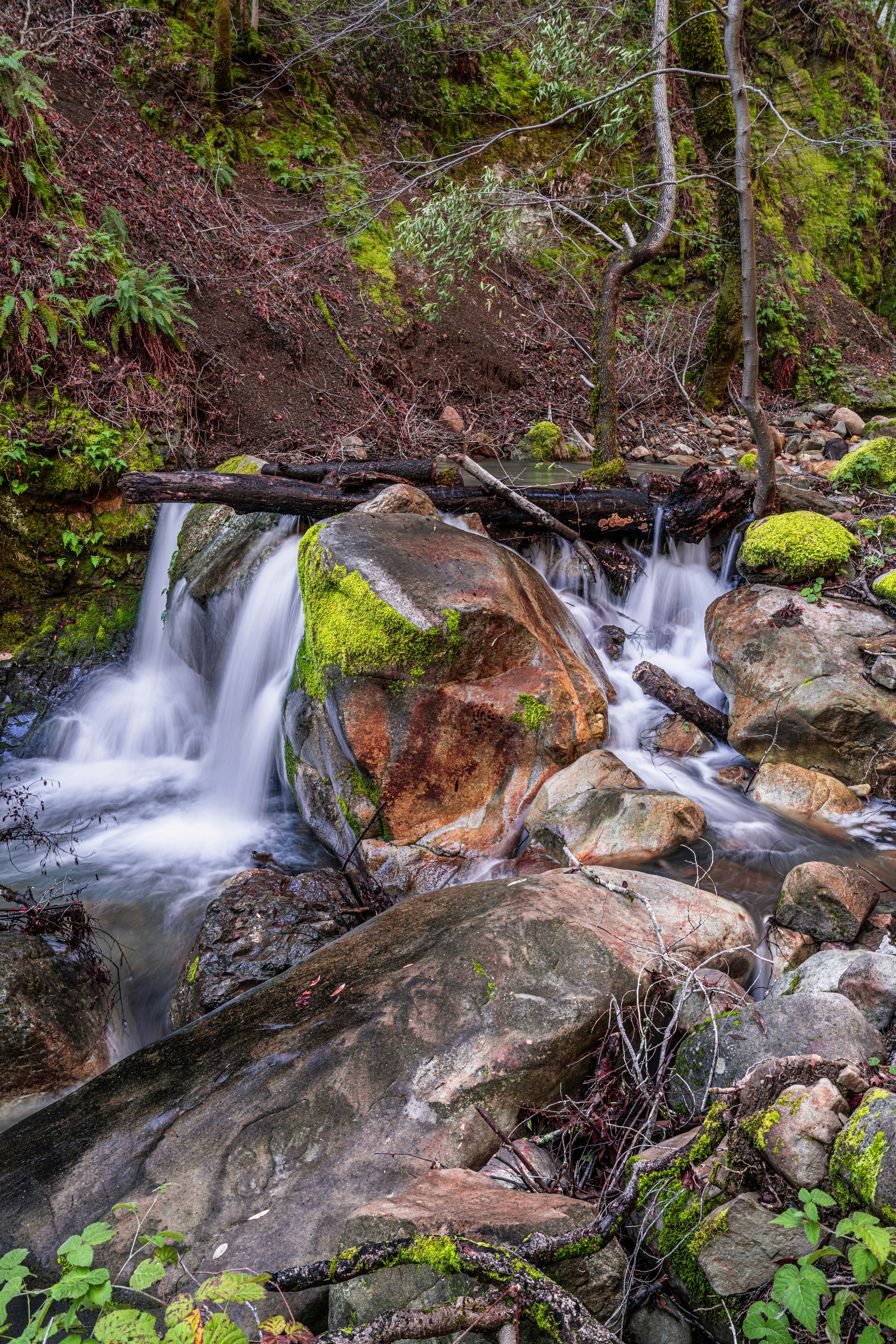 Photo by happy_pixel