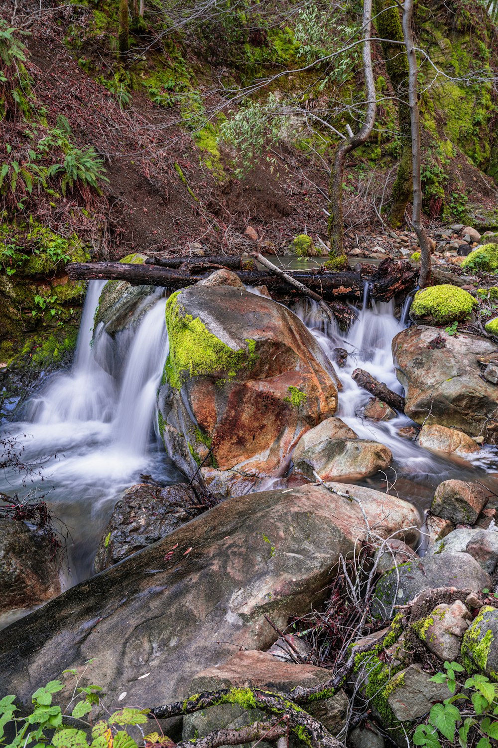 a small waterfall in the middle of a forest