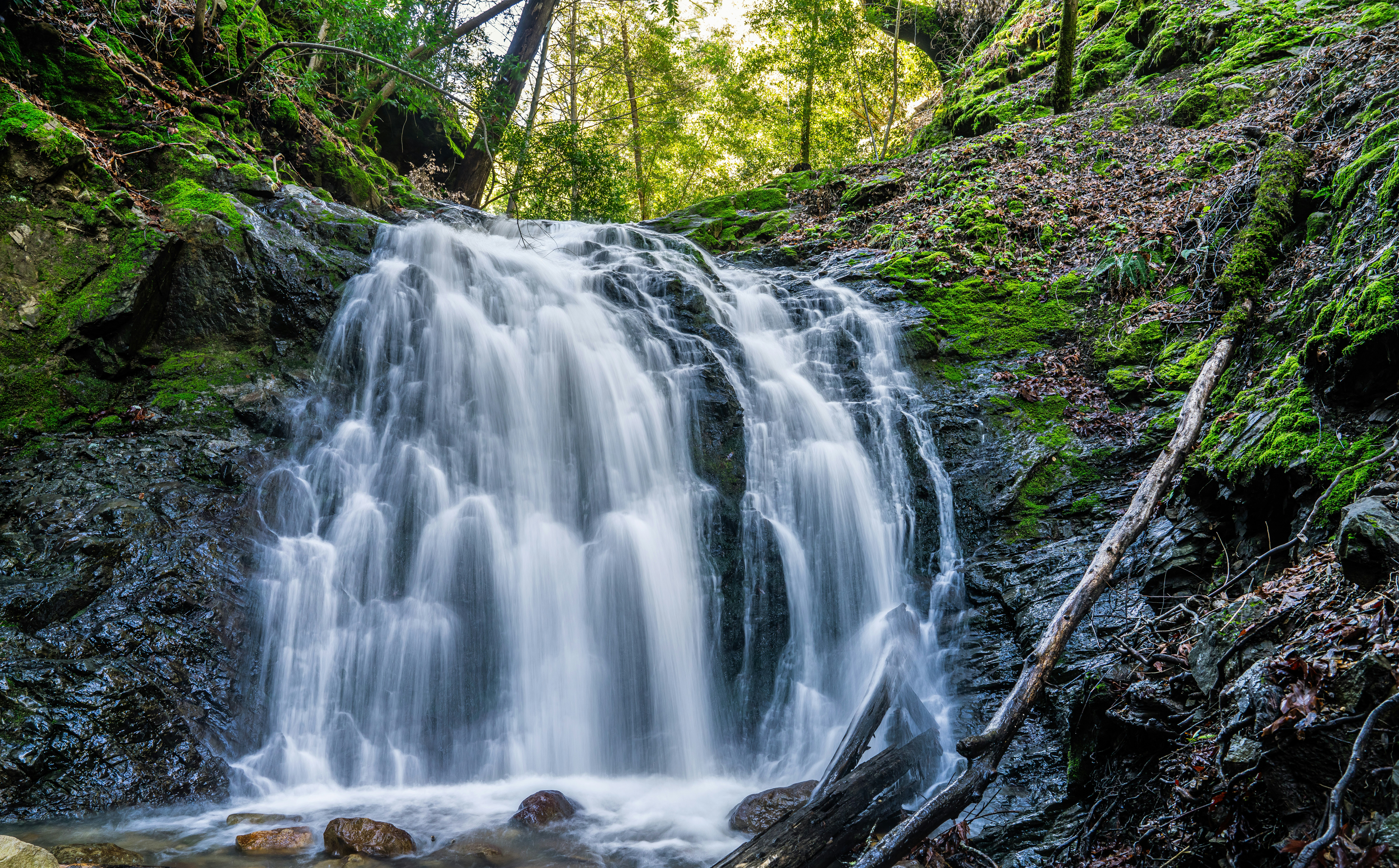 Photo by happy_pixel