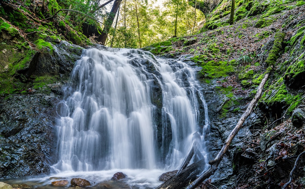 a waterfall in the woods with moss growing on the rocks