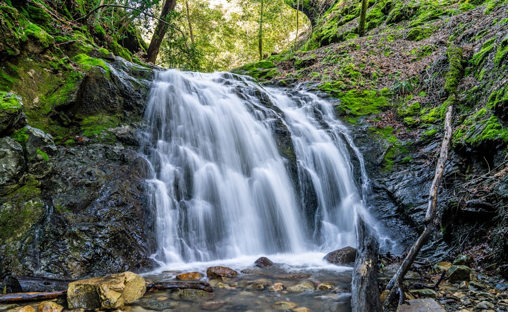 Une petite cascade au milieu d’une forêt