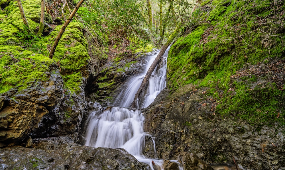 a small waterfall running through a lush green forest