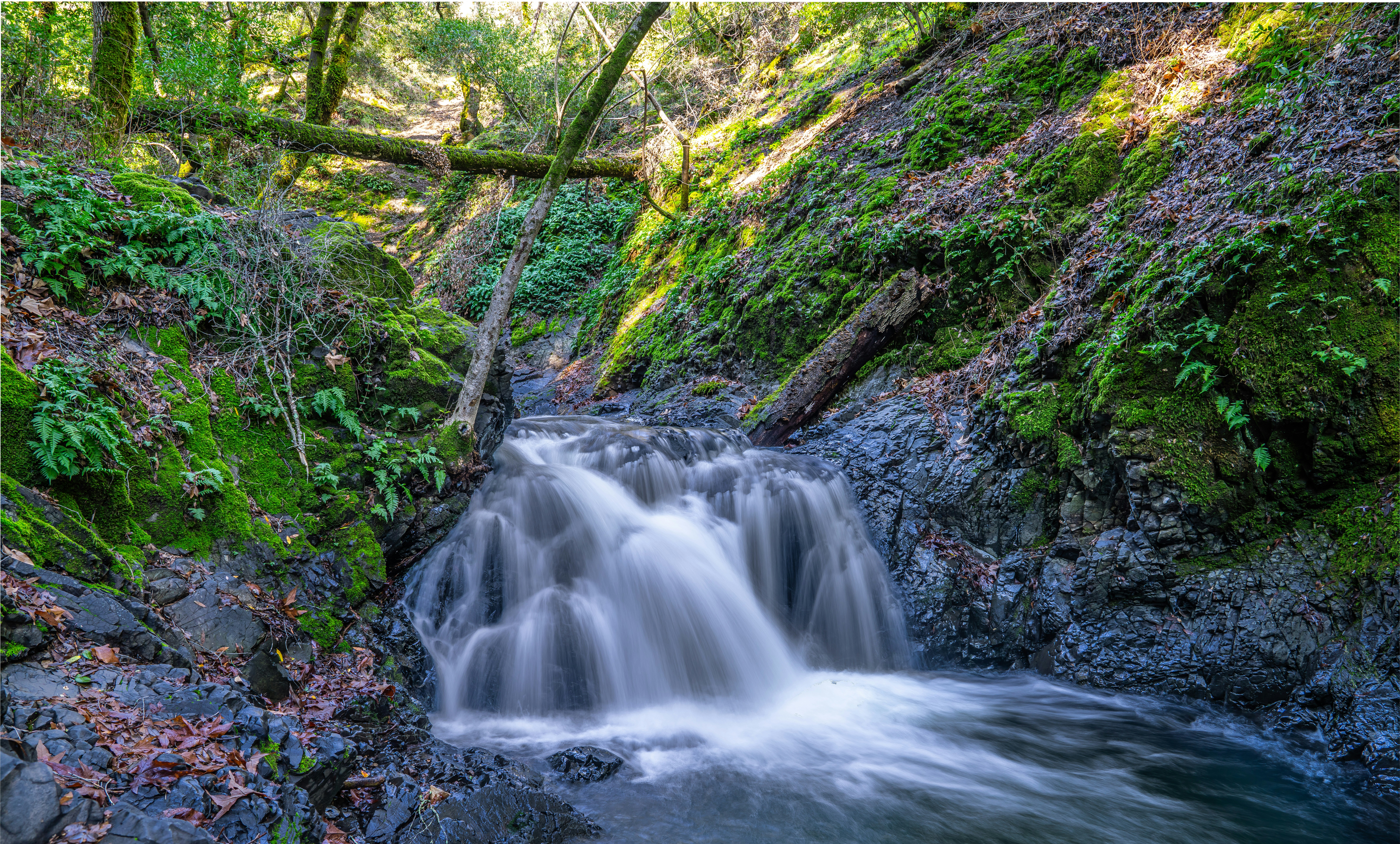 a small waterfall in the middle of a forest, Water knows how to make a breathtaking splash