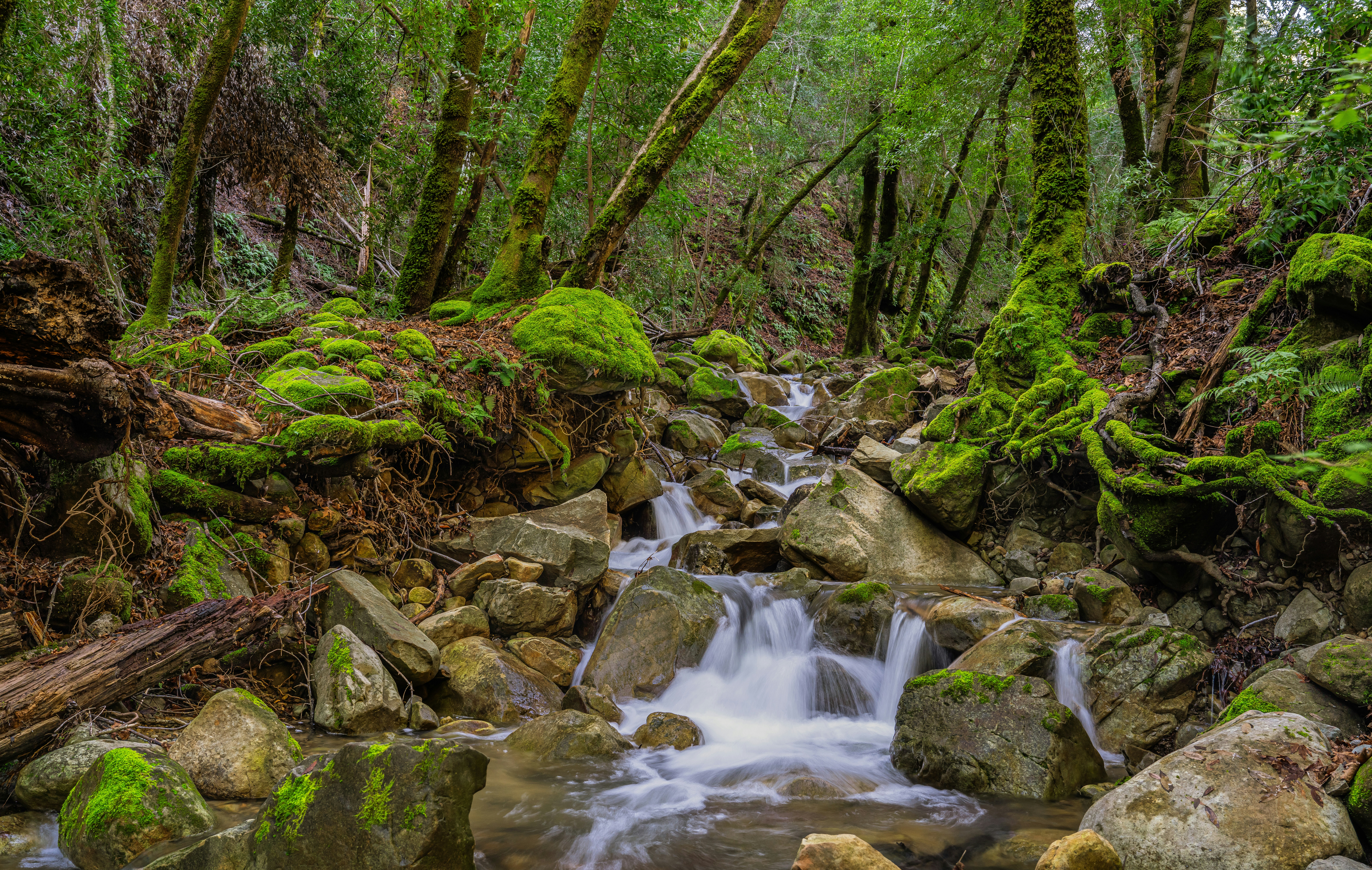 Photo by happy_pixel