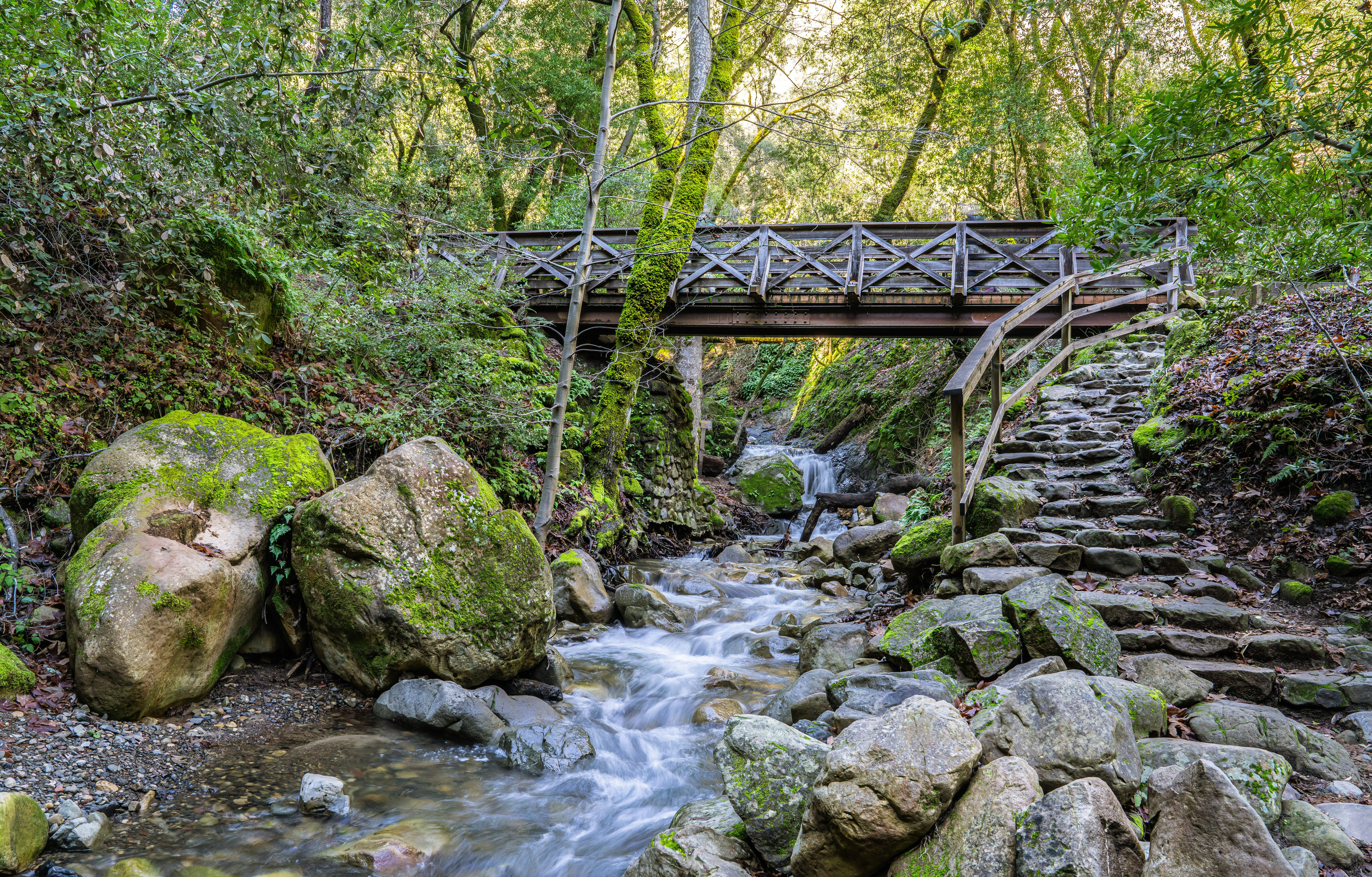 Photo by happy_pixel