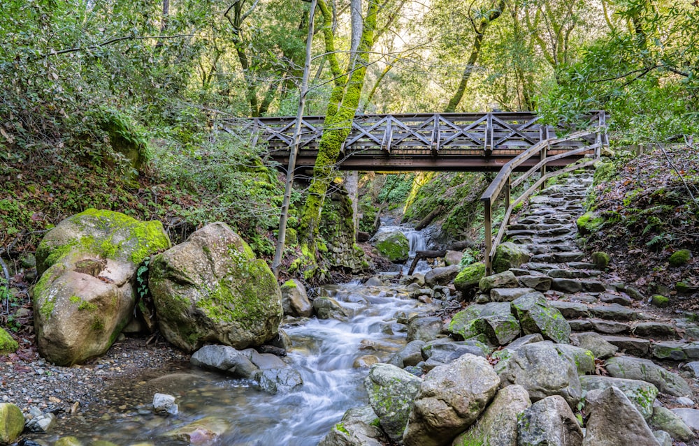 eine Holzbrücke über einen Bach in einem Wald