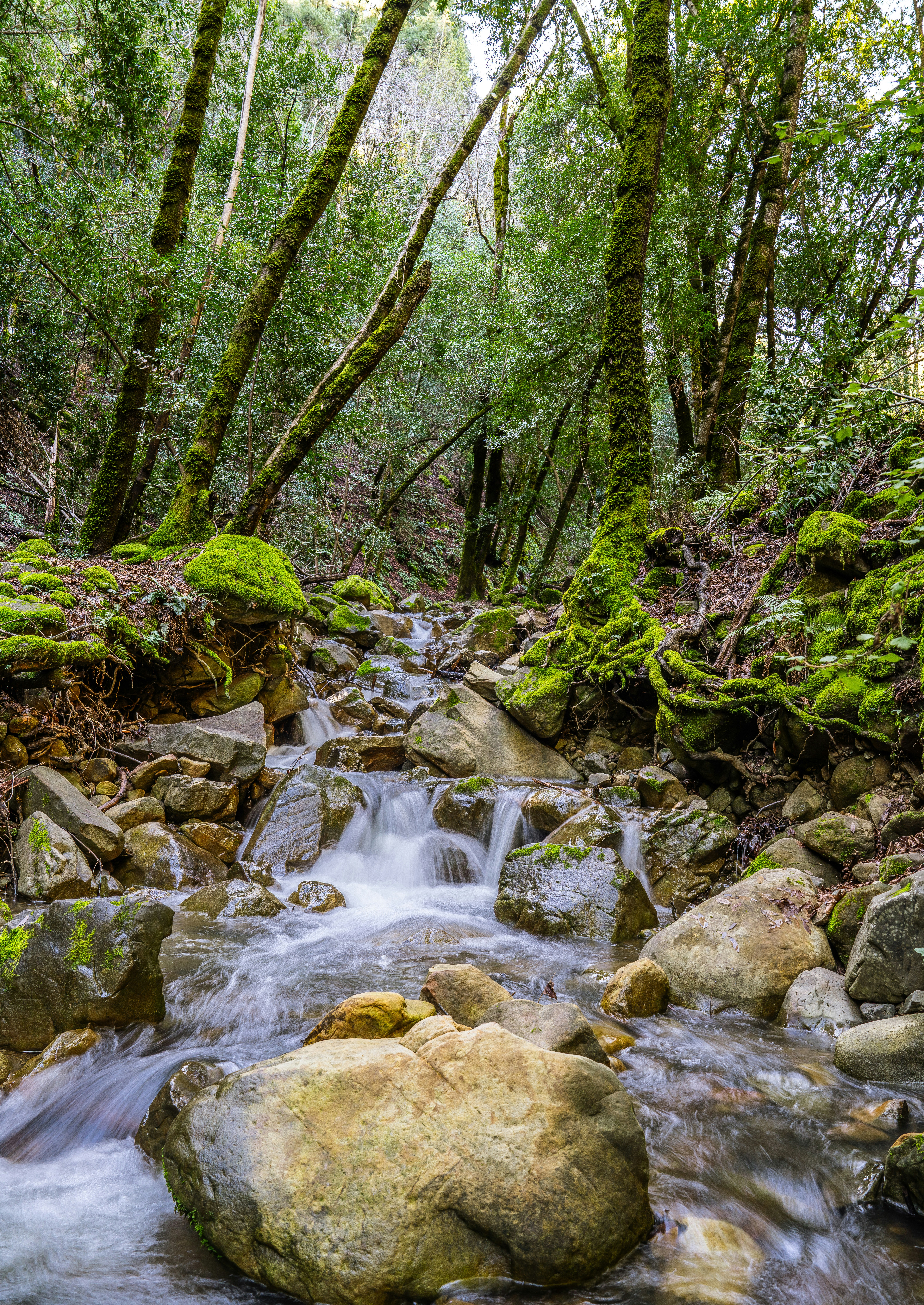 Photo by happy_pixel