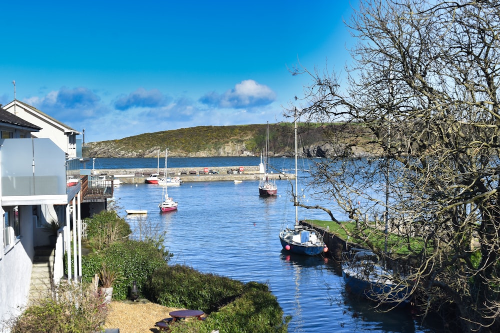 a body of water with boats in it